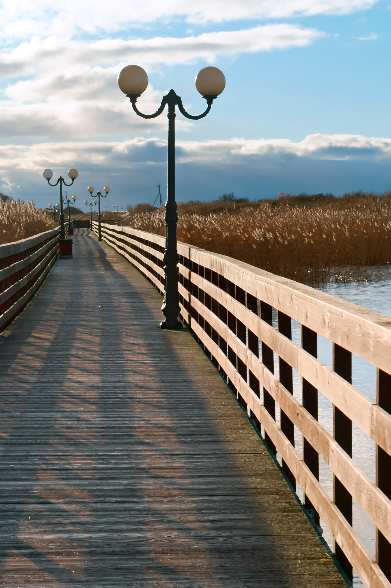 Sony Alpha NEX-3N sample photo. Wooden boardwalk through the reeds in the sunlight, a wooden plank promenade with lampposts photography