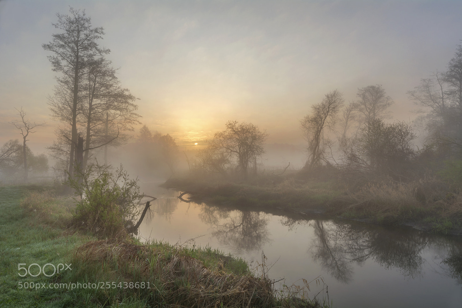 Nikon D5200 sample photo. Misty mornig photography