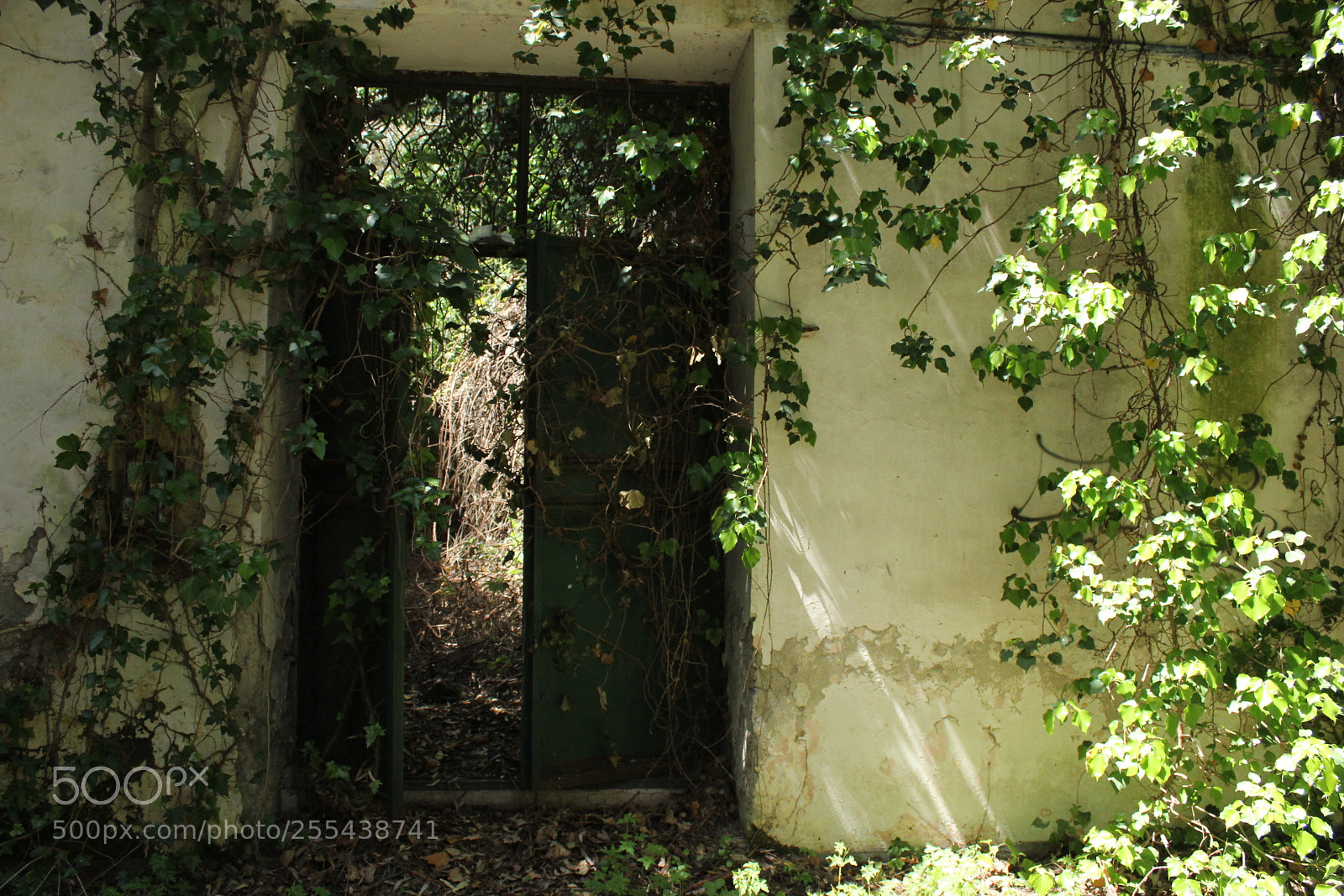 Canon EOS 1300D (EOS Rebel T6 / EOS Kiss X80) sample photo. Abandoned place. photography