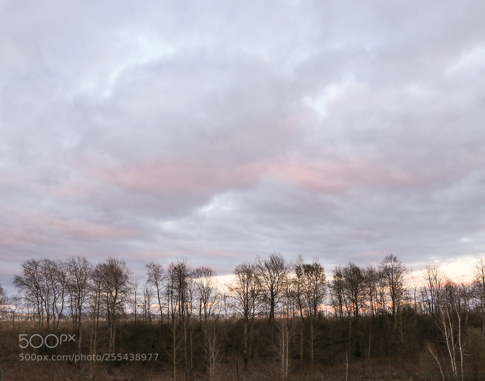 Canon EOS 80D sample photo. Clouds... photography