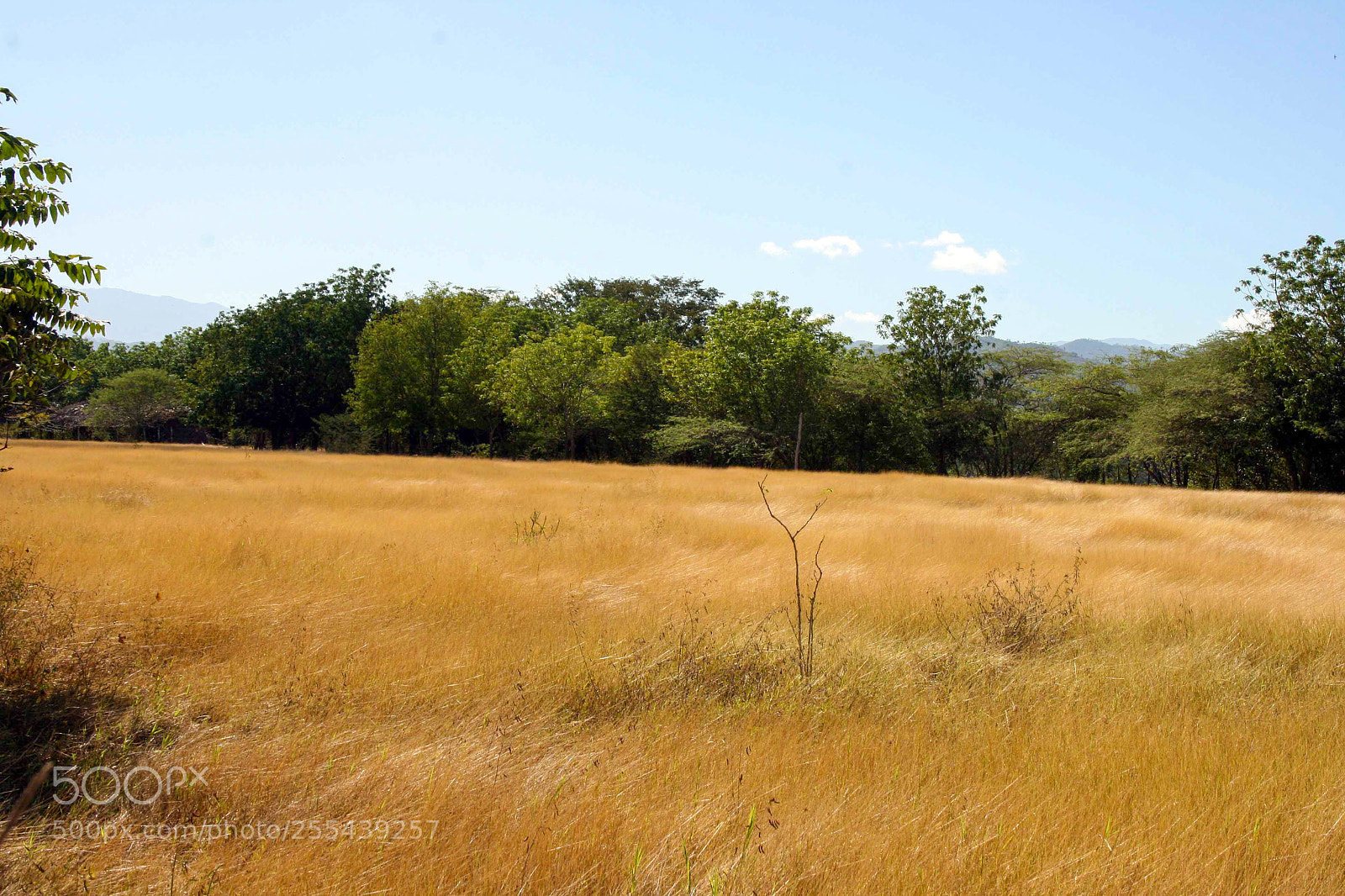 Canon EOS 400D (EOS Digital Rebel XTi / EOS Kiss Digital X) sample photo. () photography