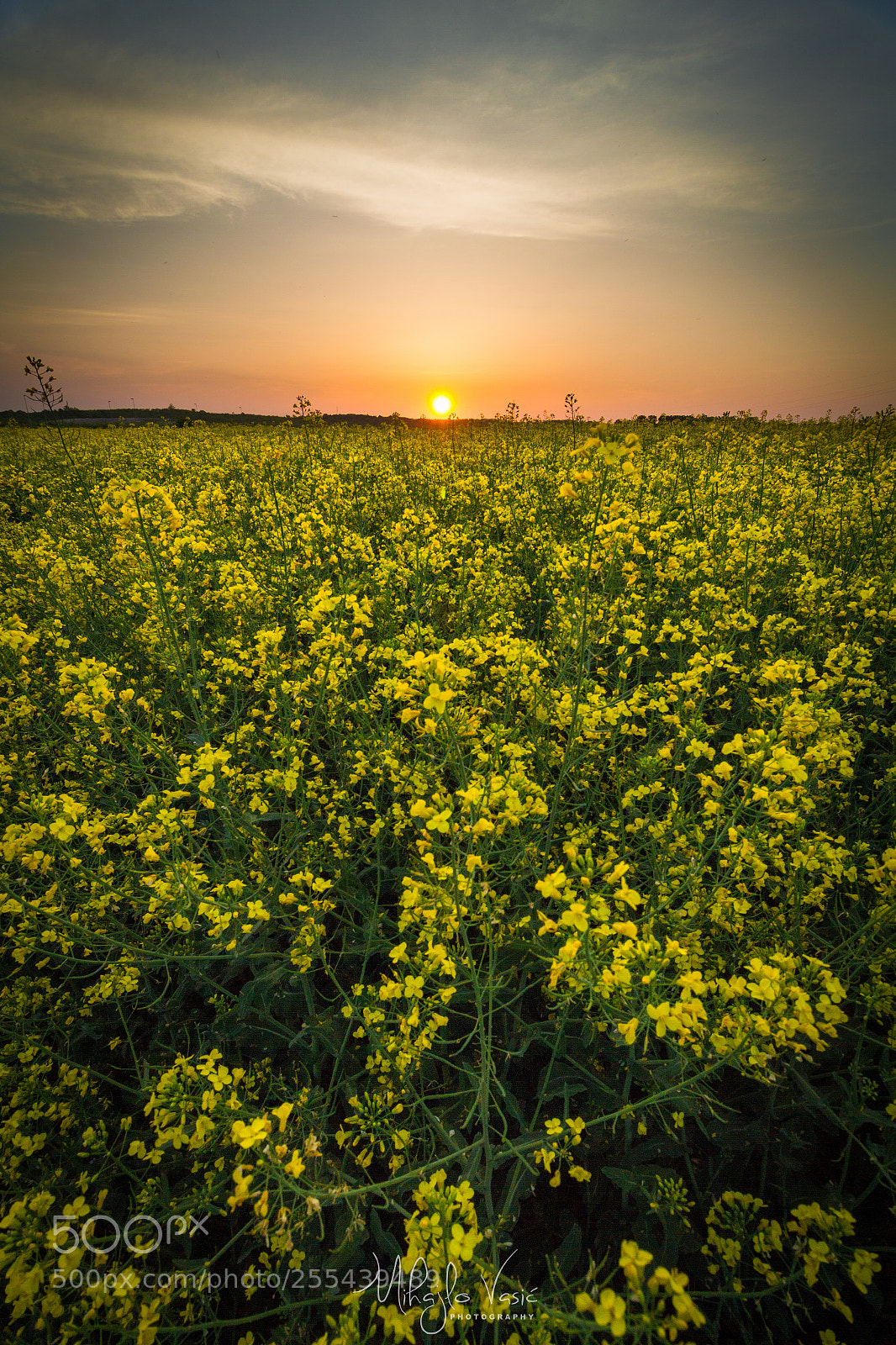 Canon EOS 7D sample photo. Divine sunshine photography