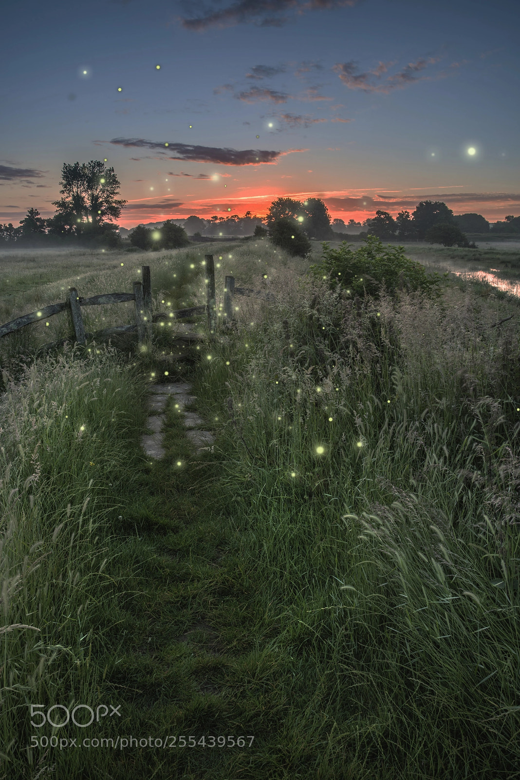 Nikon D800 sample photo. Beautiful fantasy picture of photography