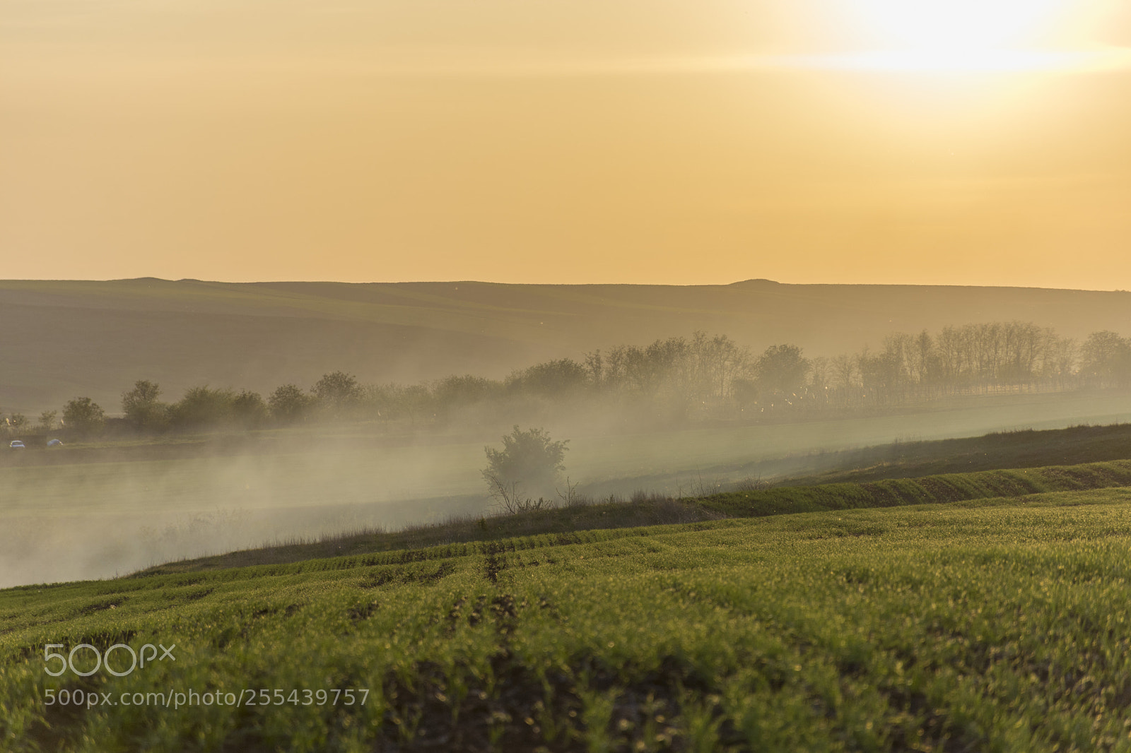 Nikon D7200 sample photo. Countryside smoky evening photography