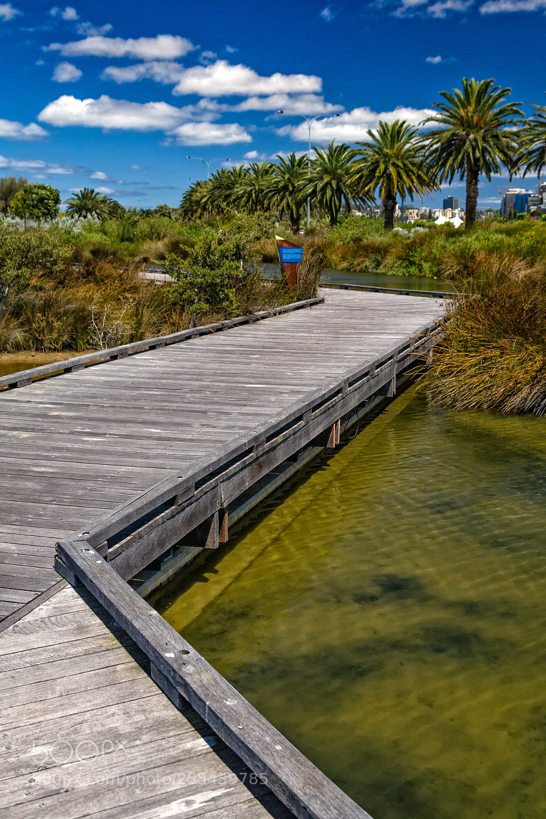 Canon EOS 5D sample photo. Swan river walk photography