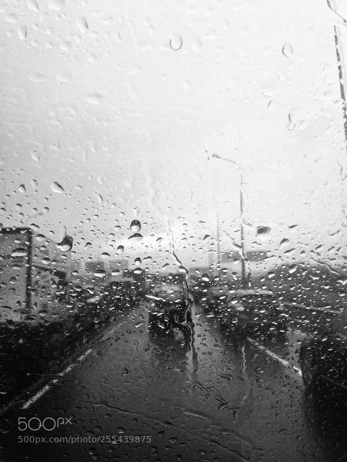 Apple iPhone 4S sample photo. Untitled photography