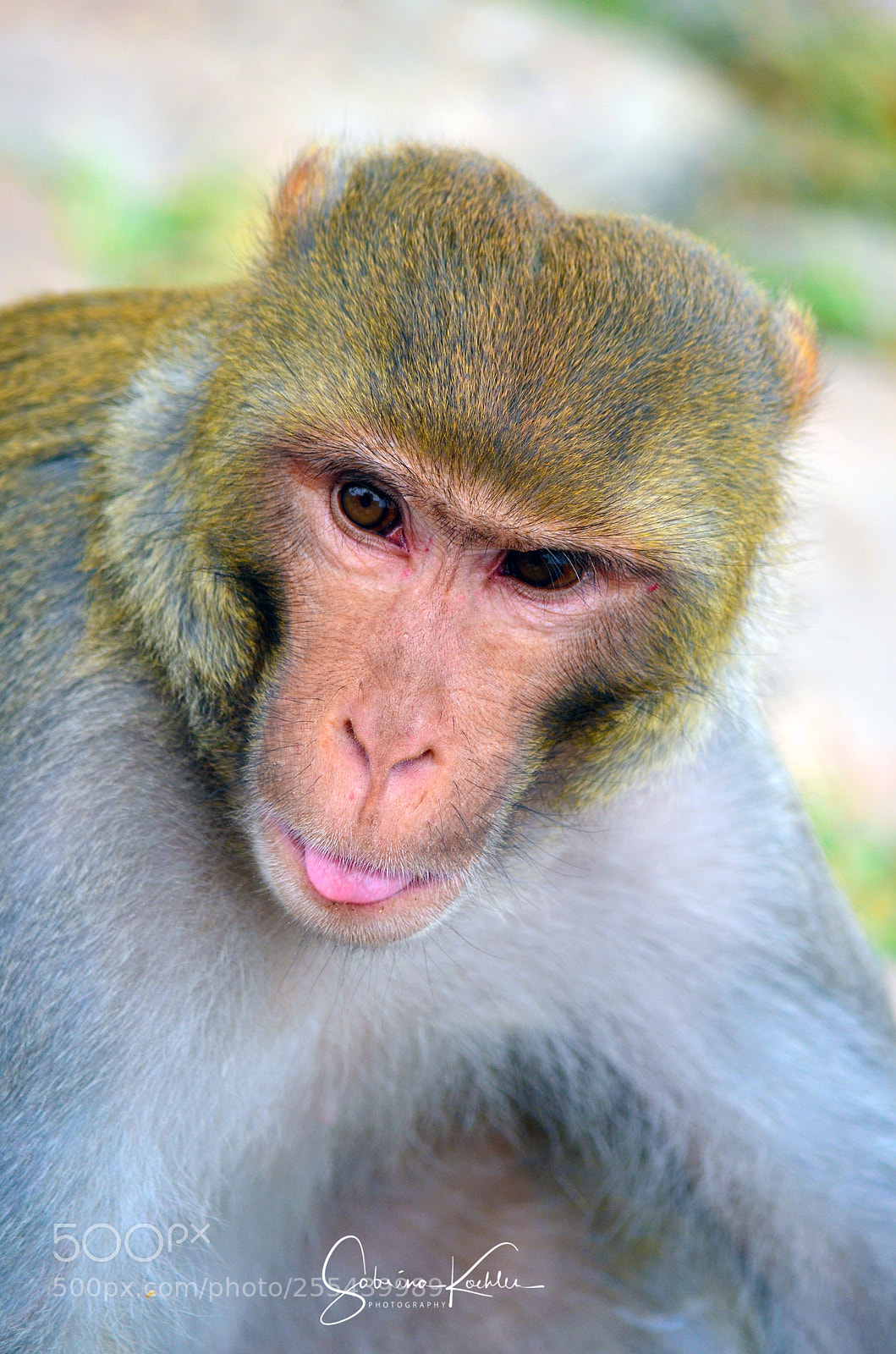 Nikon D5100 sample photo. Jaipur india photography