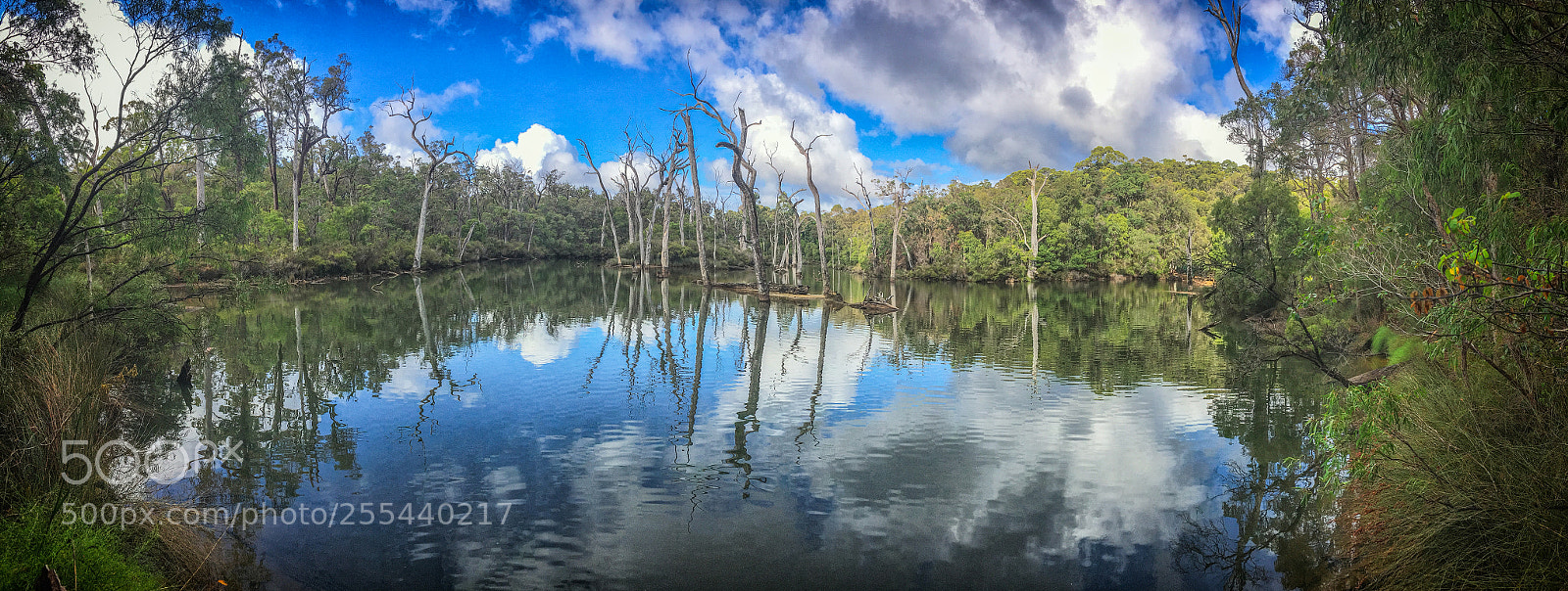 Apple iPhone SE sample photo. Warperup creek photography