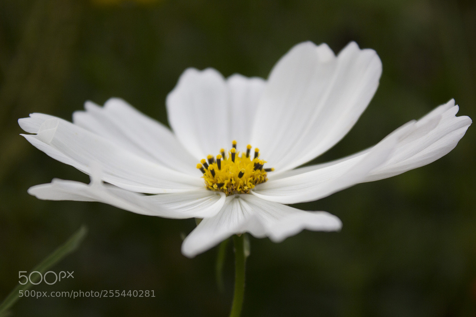 Canon EOS 60D sample photo. Dark. photography