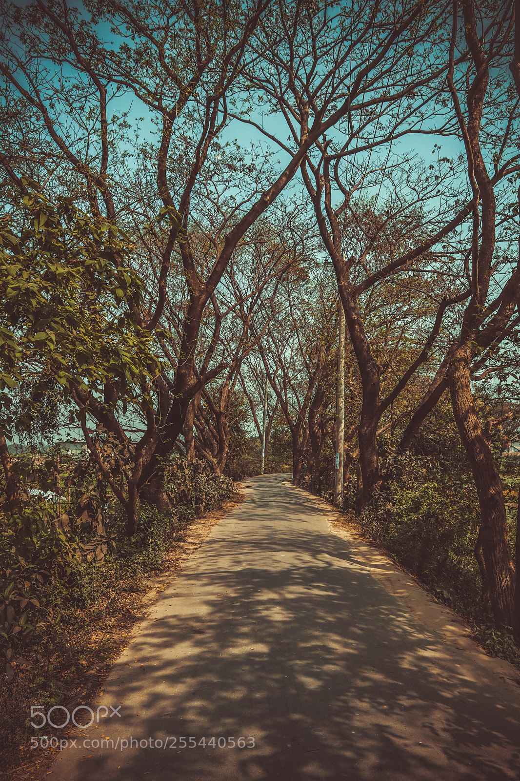 Canon EOS 80D sample photo. Untitled photography