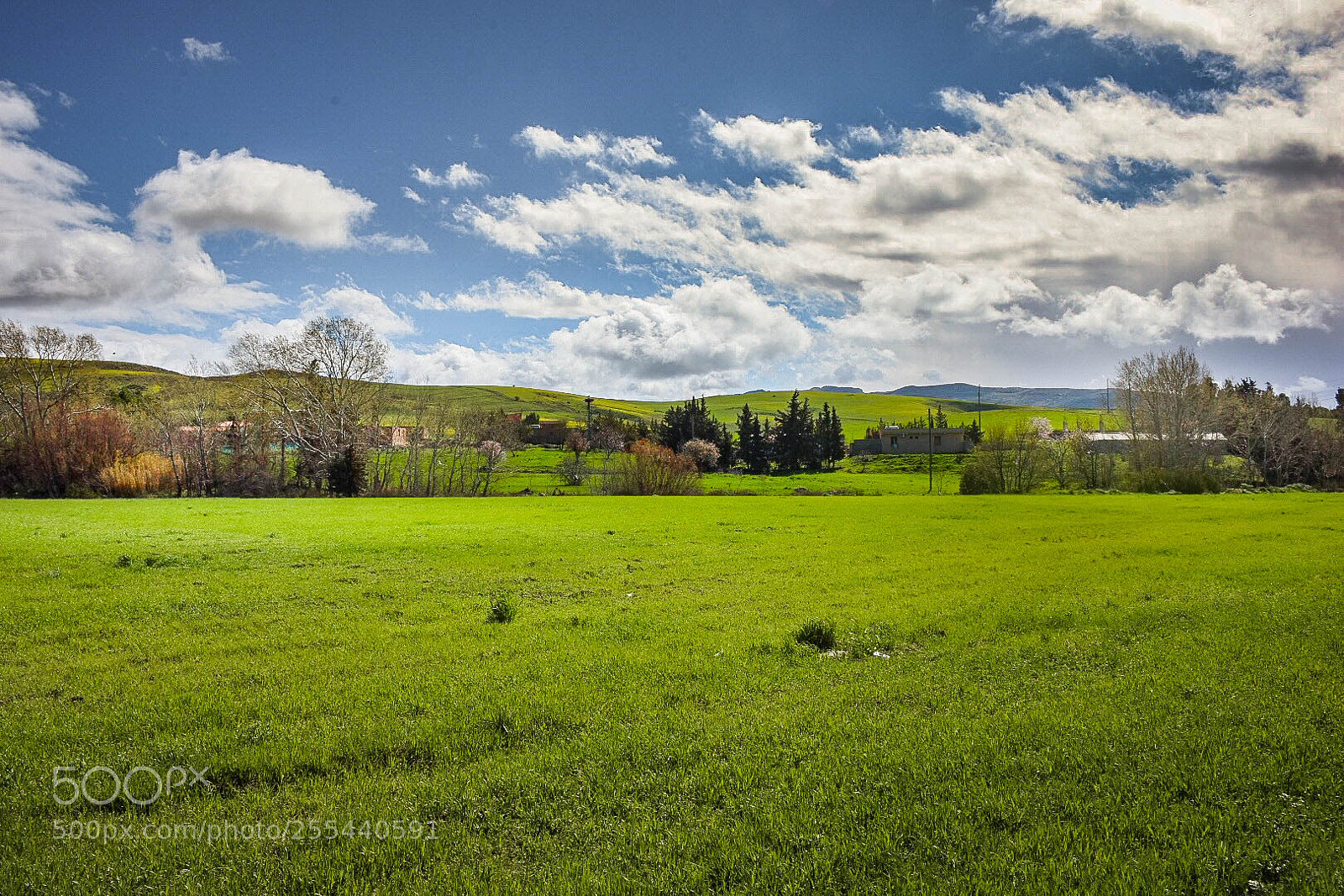 Nikon D7200 sample photo. Img photography