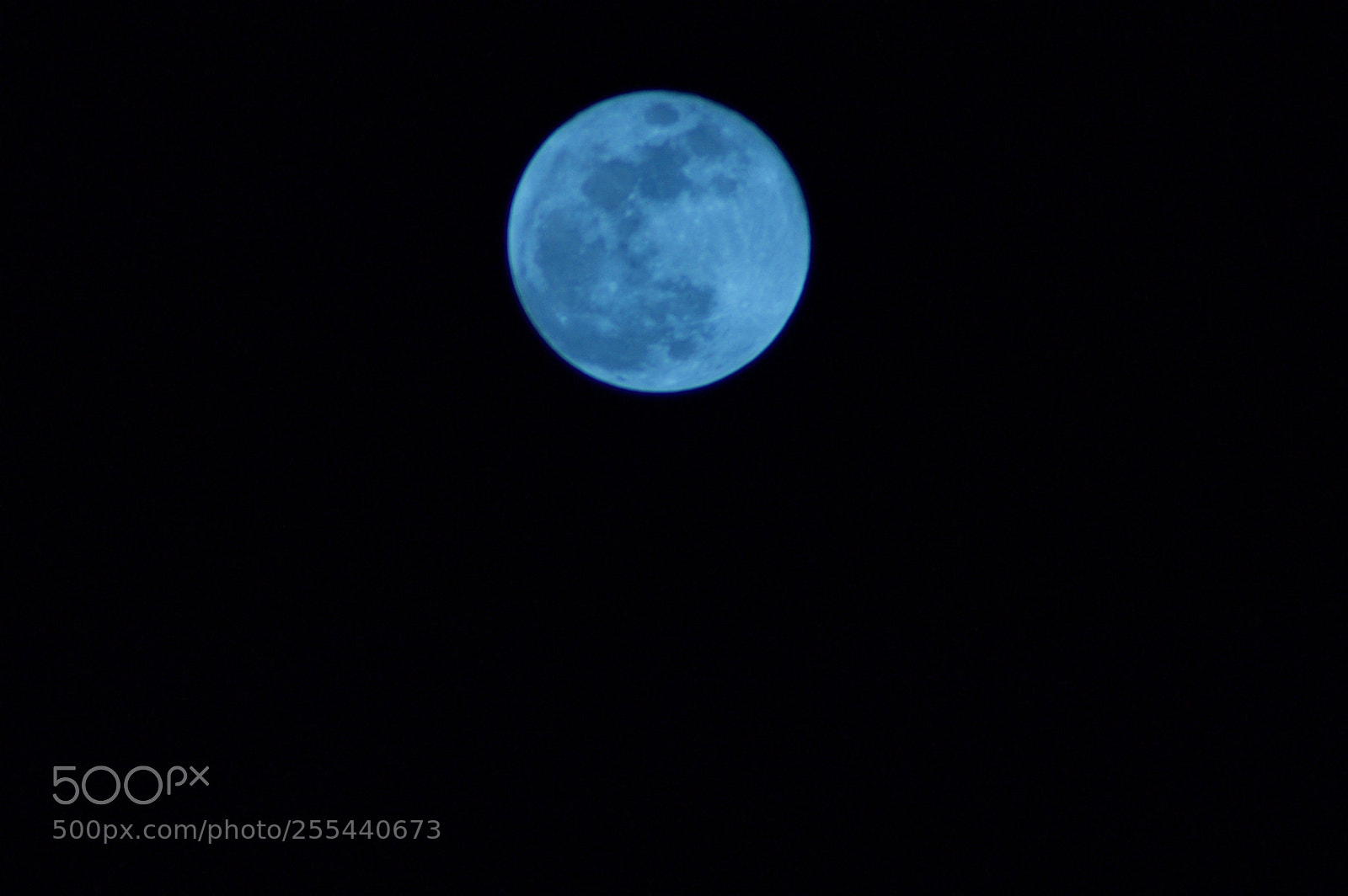Nikon D70s sample photo. Blue moon photography