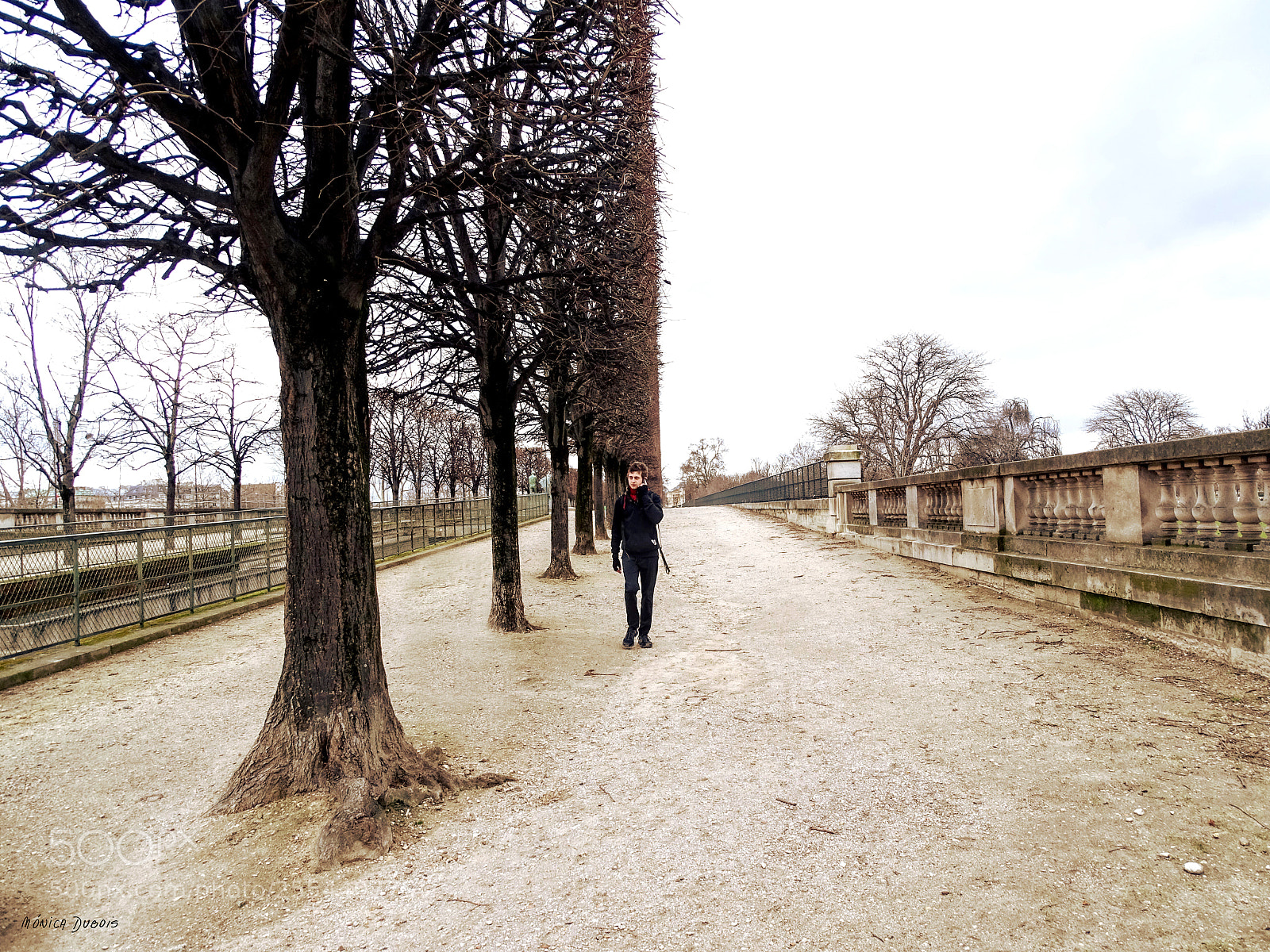 Sony Cyber-shot DSC-HX400V sample photo. Paisaje parisino photography