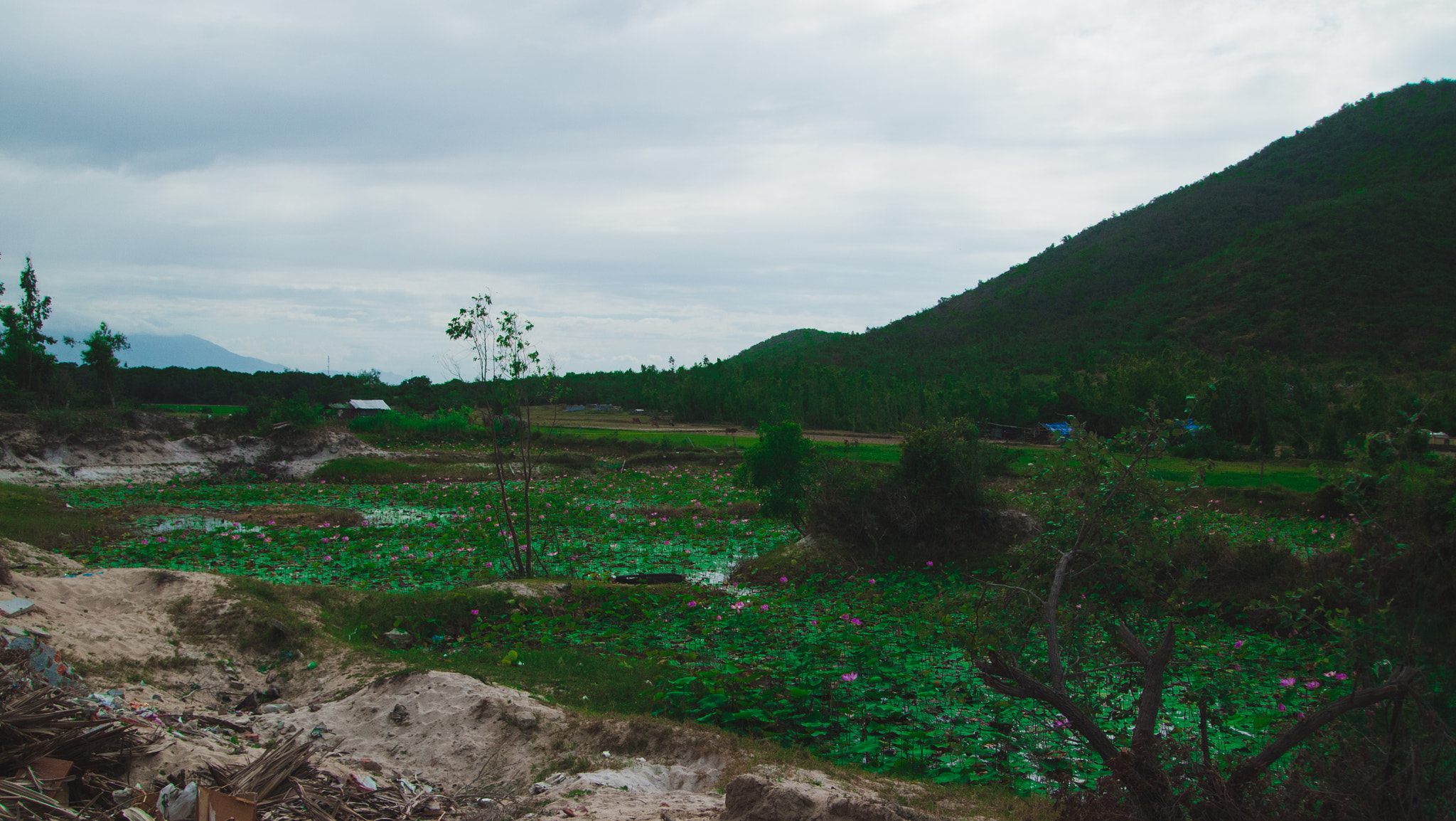 Olympus PEN E-P1 sample photo. Lushious green hill photography