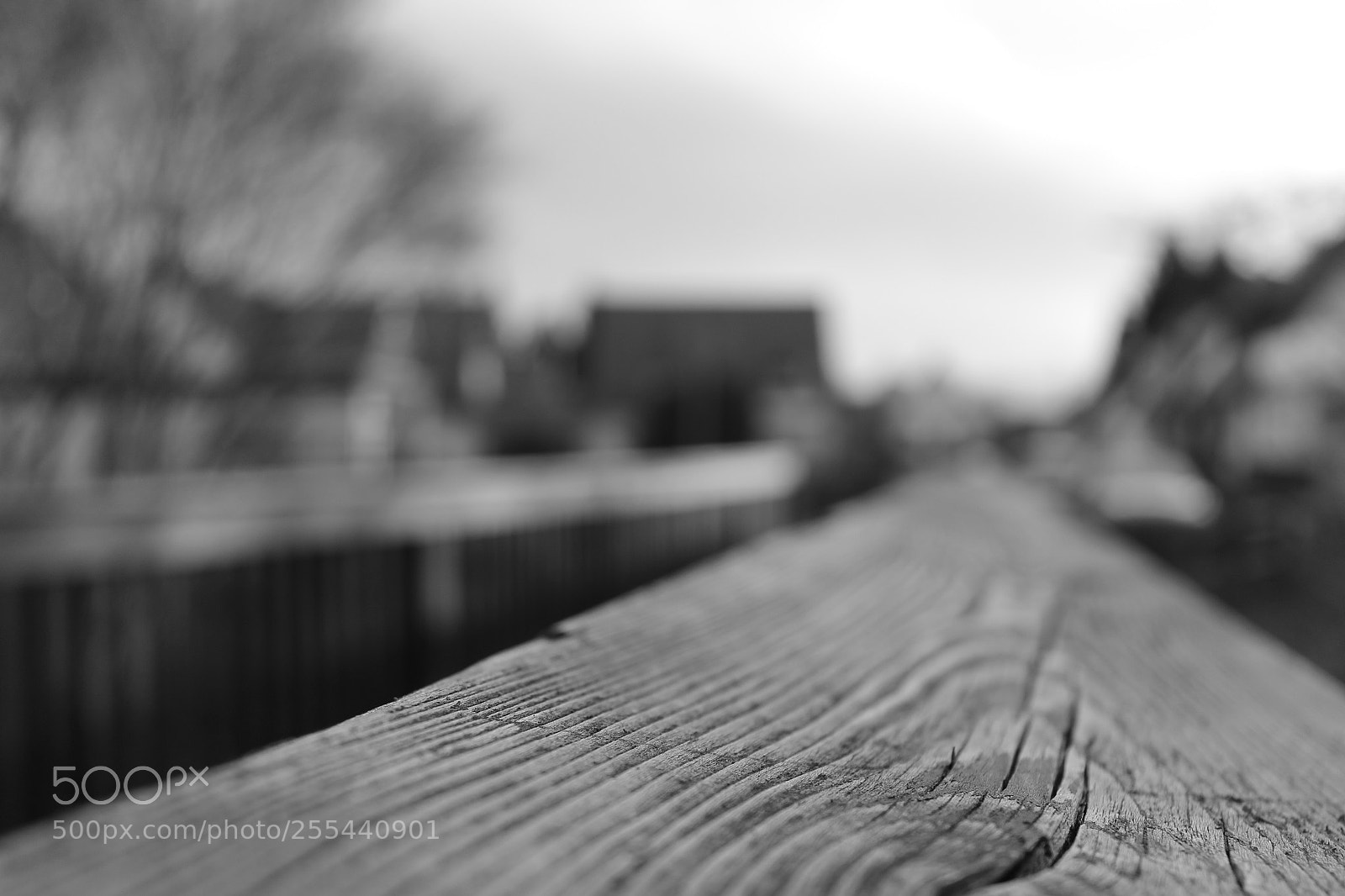 Canon EOS 1300D (EOS Rebel T6 / EOS Kiss X80) sample photo. Black an white  photography