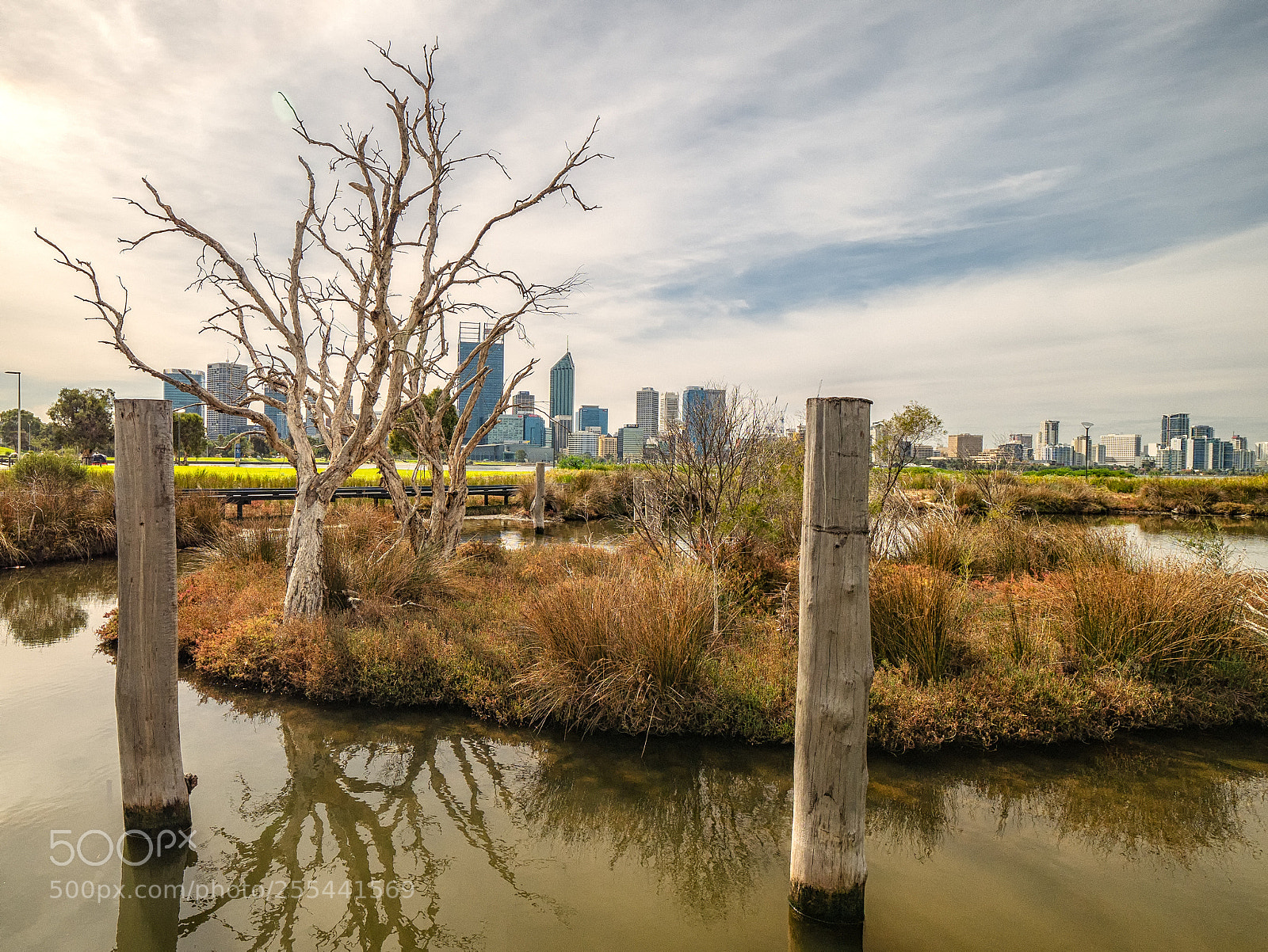 Panasonic Lumix DMC-G85 (Lumix DMC-G80) sample photo. Swan river walk photography