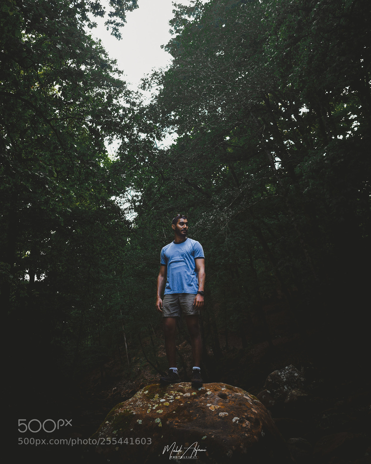 Nikon D3300 sample photo. Into the wild photography