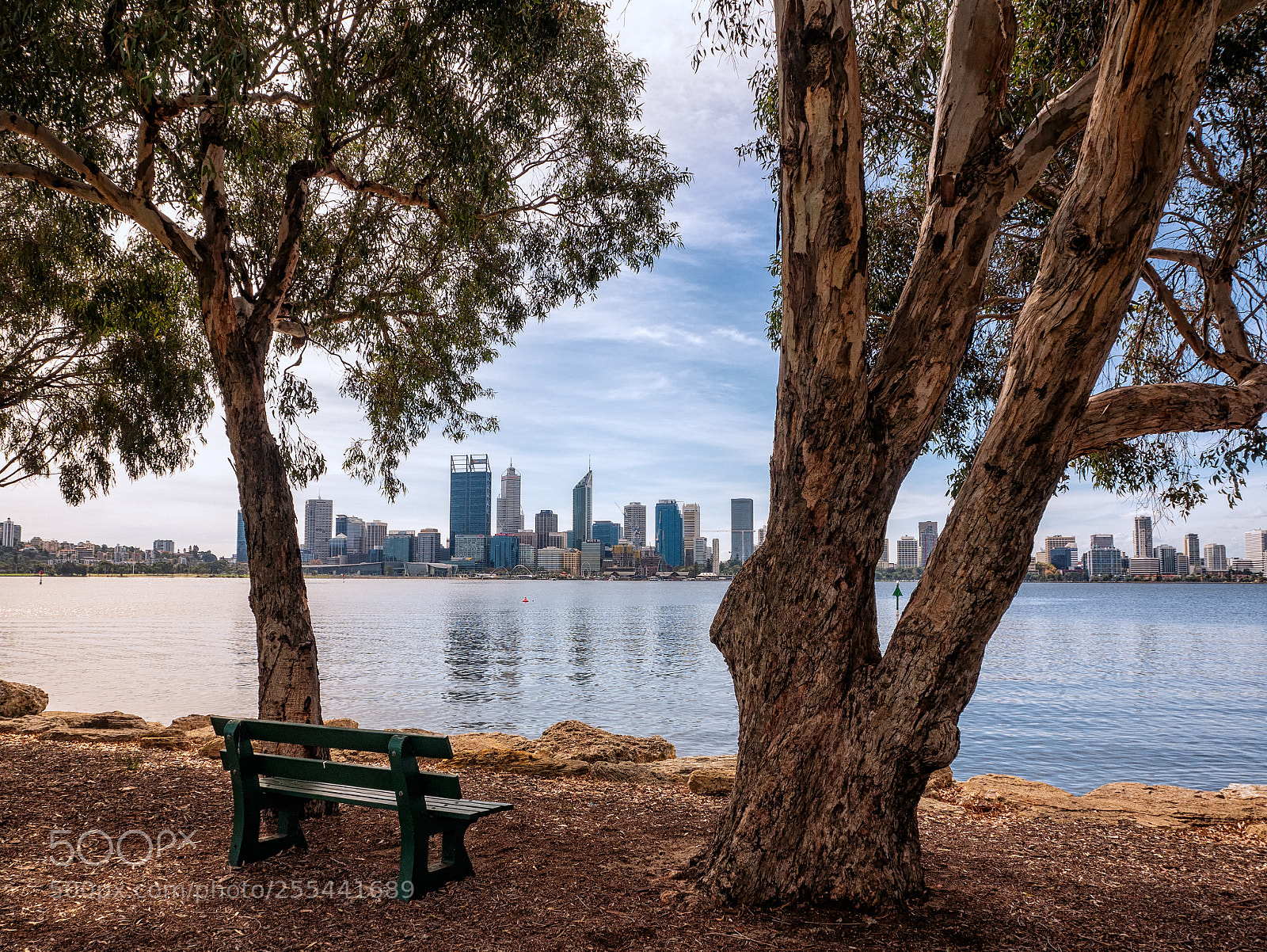 Panasonic Lumix DMC-G85 (Lumix DMC-G80) sample photo. Swan river walk photography