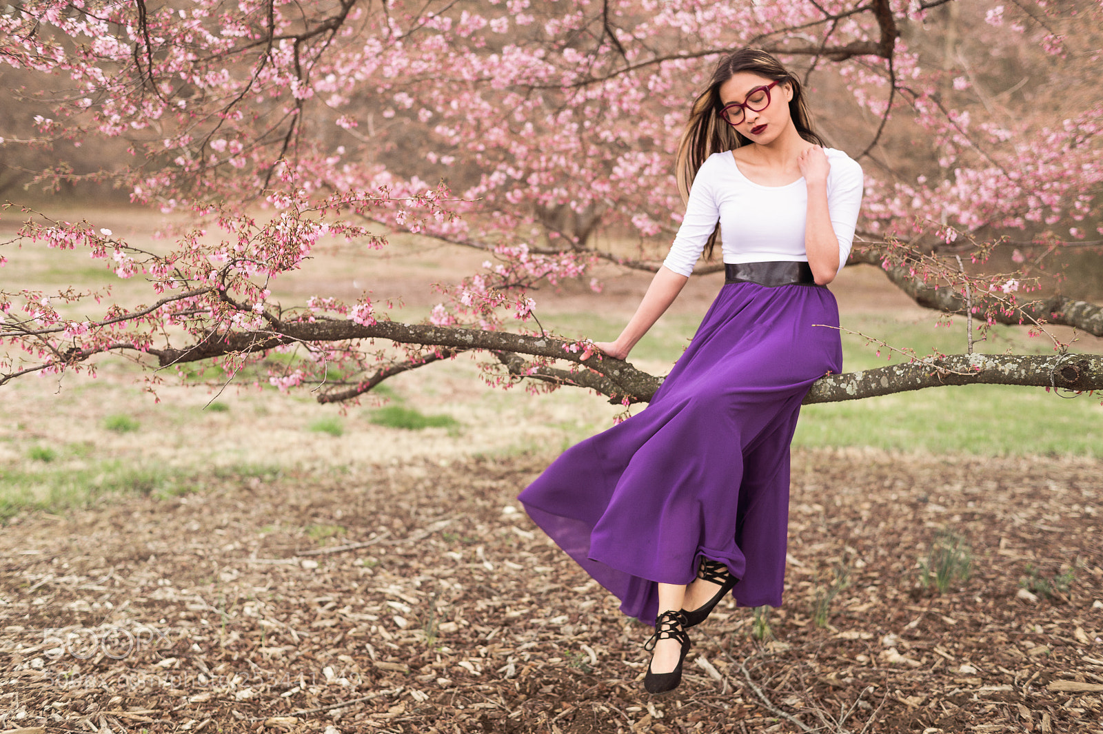 Nikon Df sample photo. Cherry blossom perch photography