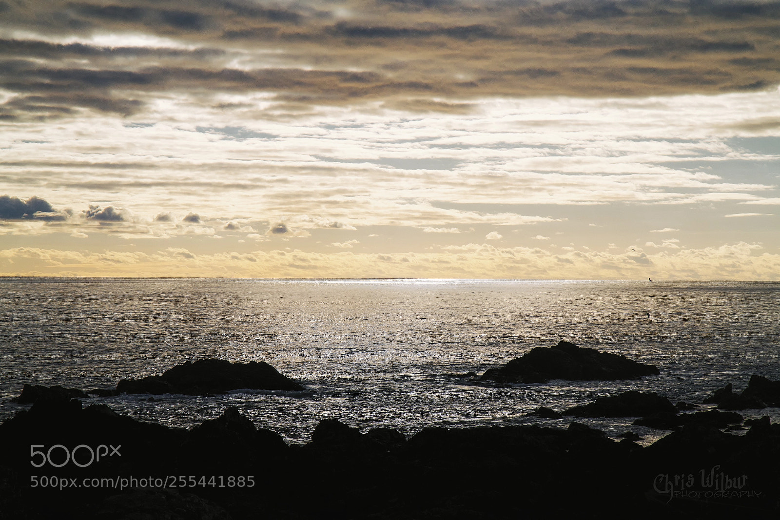 Canon EOS 6D sample photo. West coast warmth photography