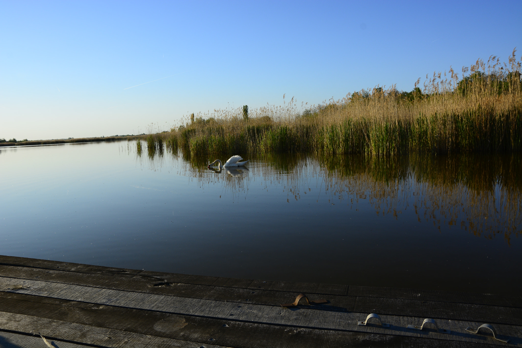 Nikon D7100 sample photo. Lake photography