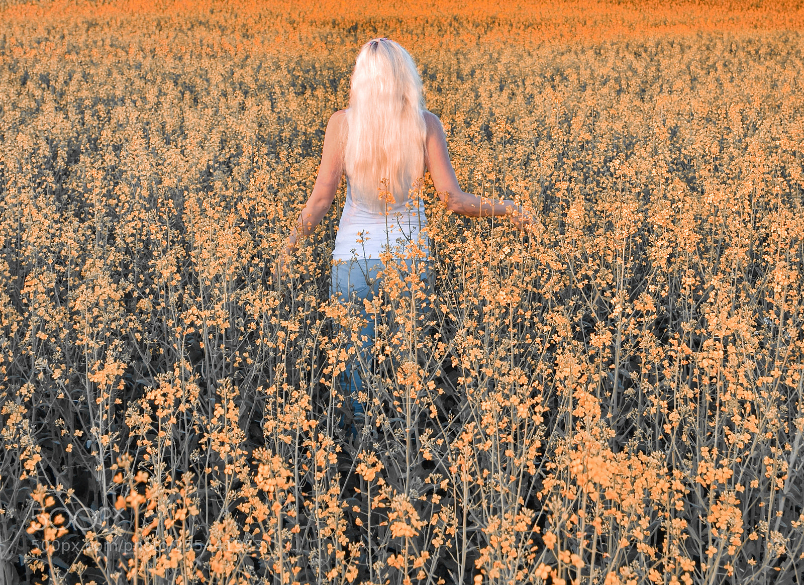 Nikon D5600 sample photo. Springtime photography