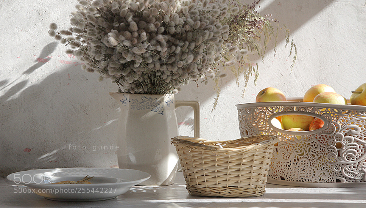 Canon EOS 5D sample photo. Morning light photography