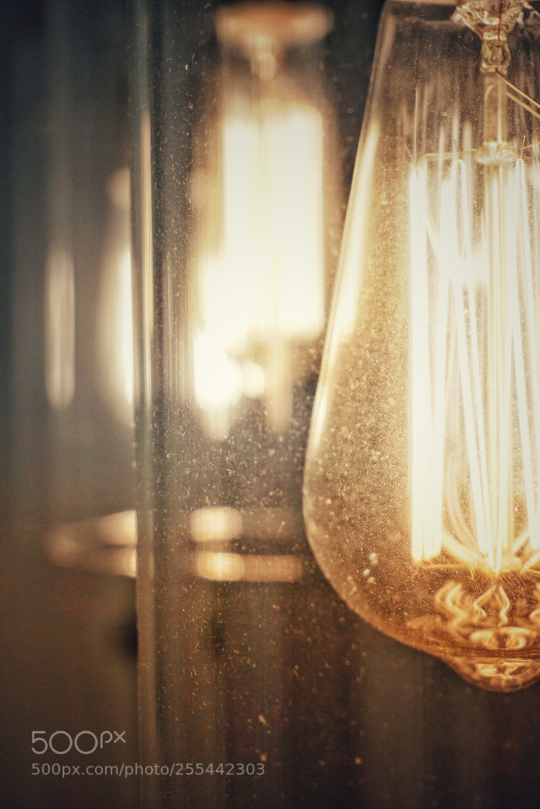Sony a6300 sample photo. Dusty warm tungsten bulbs photography