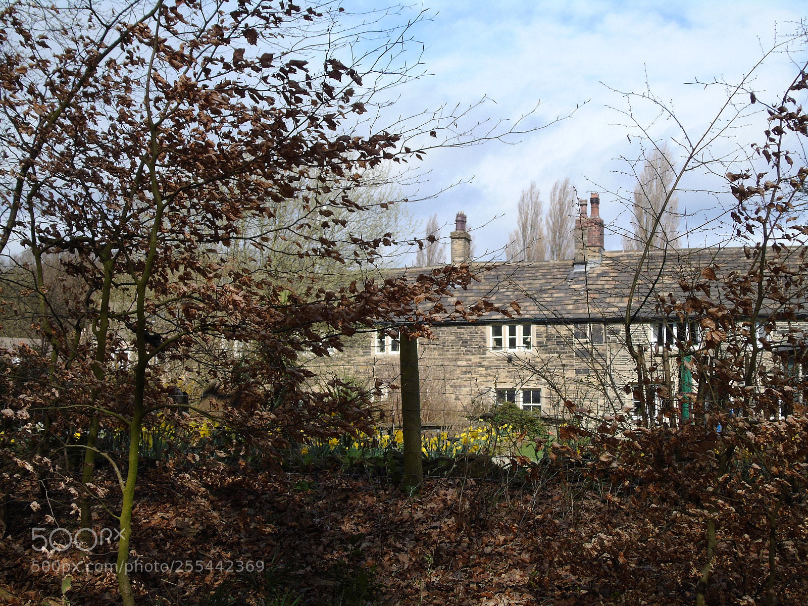 Sony Cyber-shot DSC-H400 sample photo. Yorkshire stone cottages seen photography