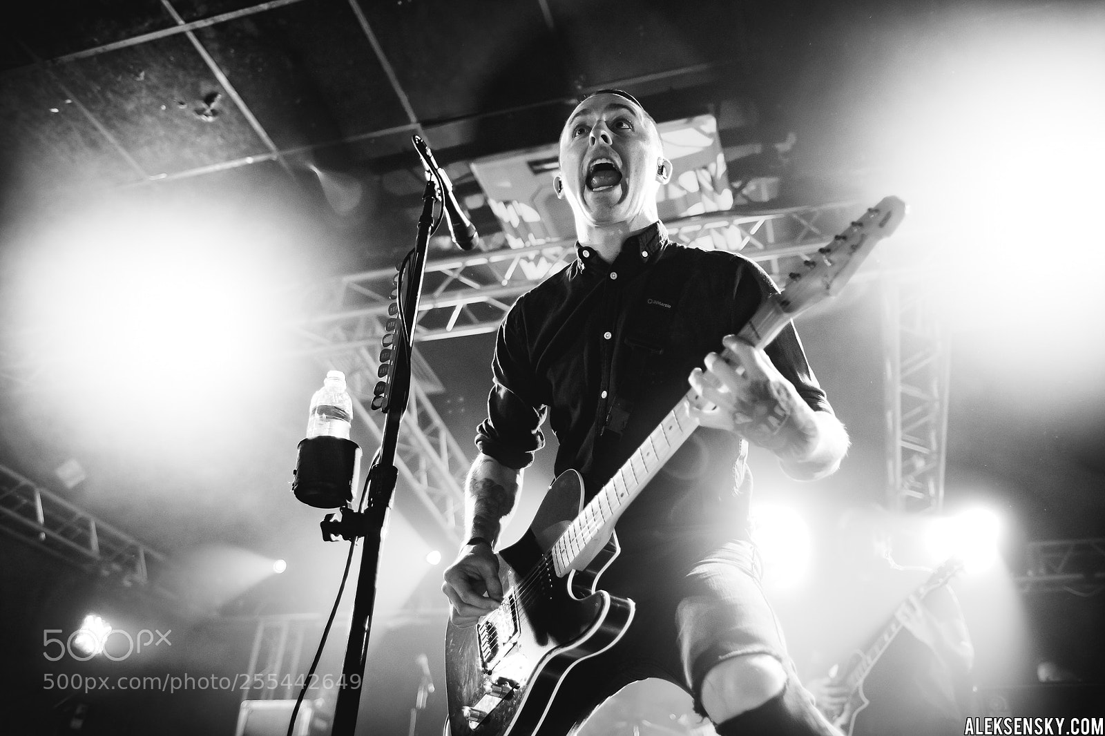 Canon EOS 6D sample photo. Yellowcard photography