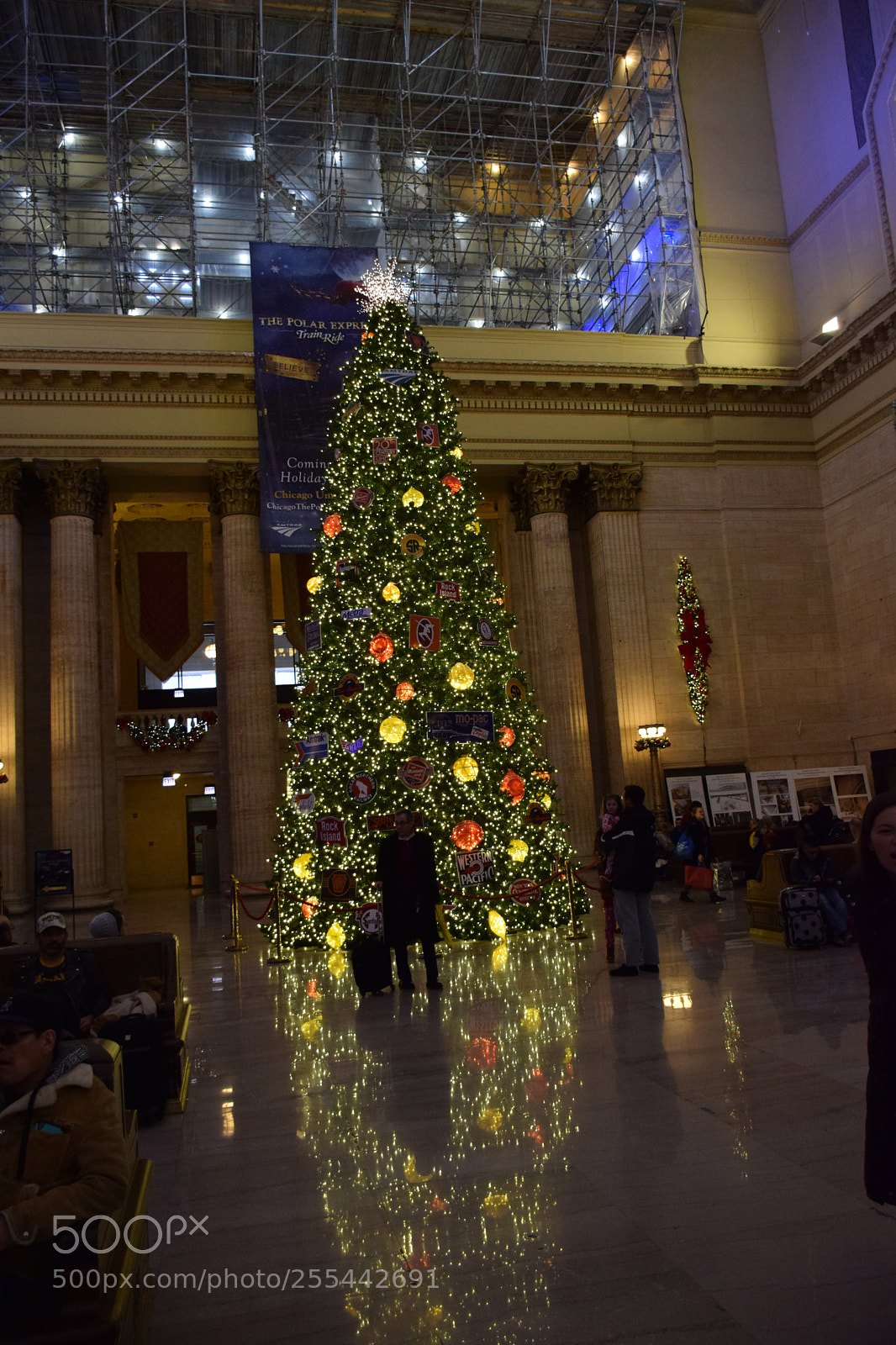 Nikon D5300 sample photo. Chicago union station christmas photography