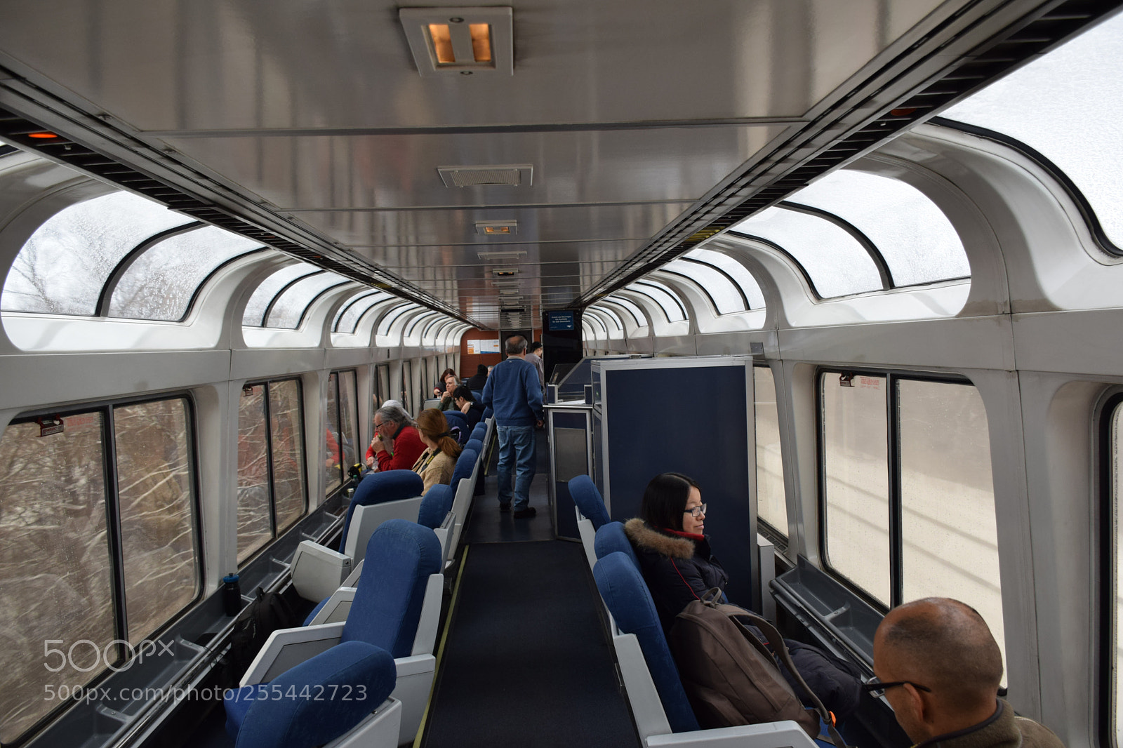 Nikon D5300 sample photo. Observation car photography