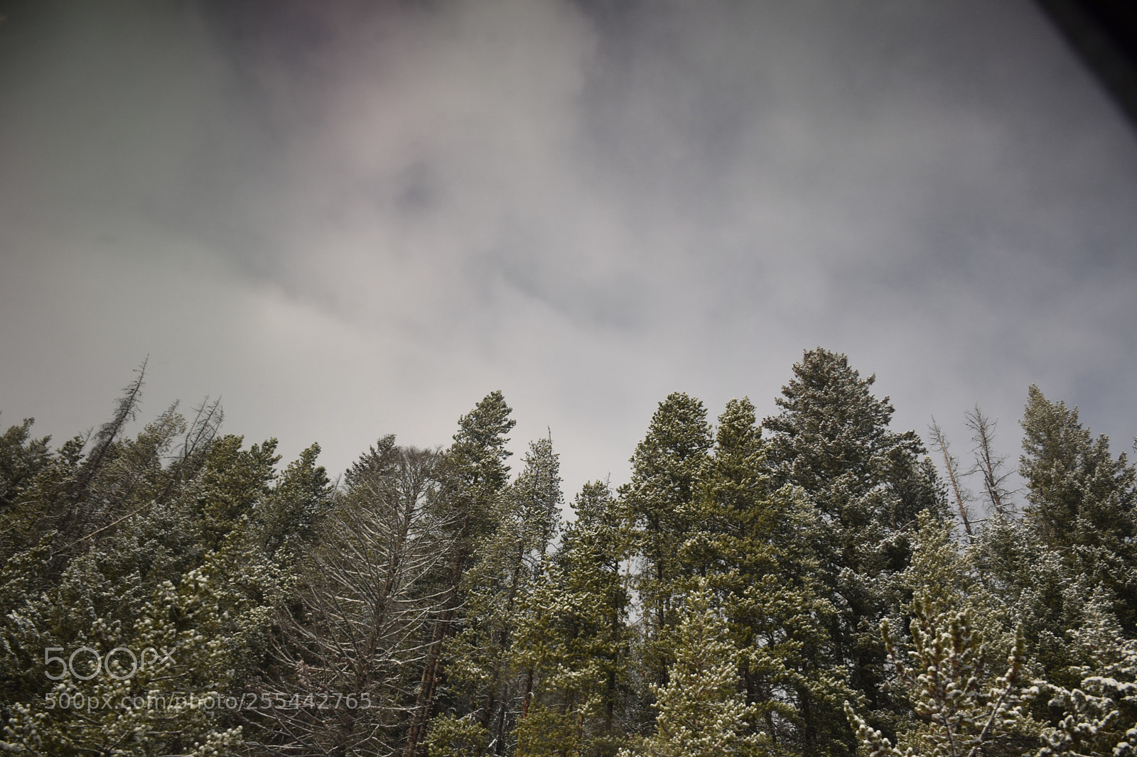Nikon D5300 sample photo. Views from the california photography