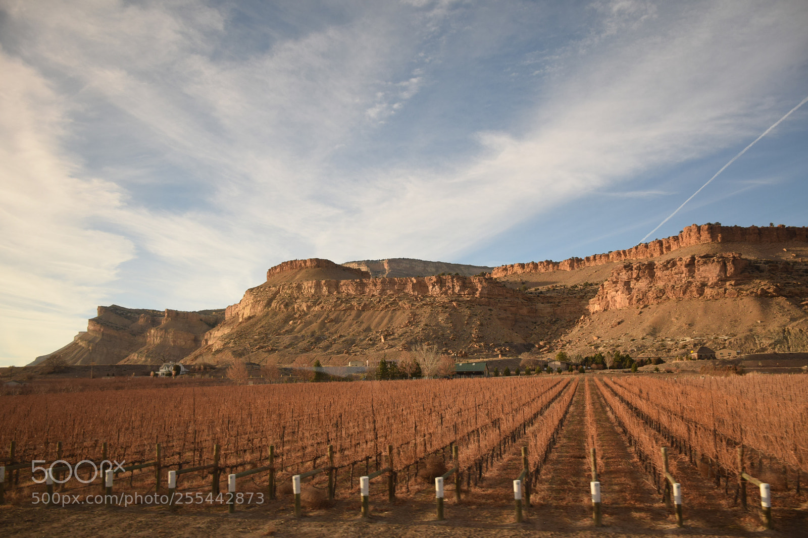 Nikon D5300 sample photo. Views from the california photography