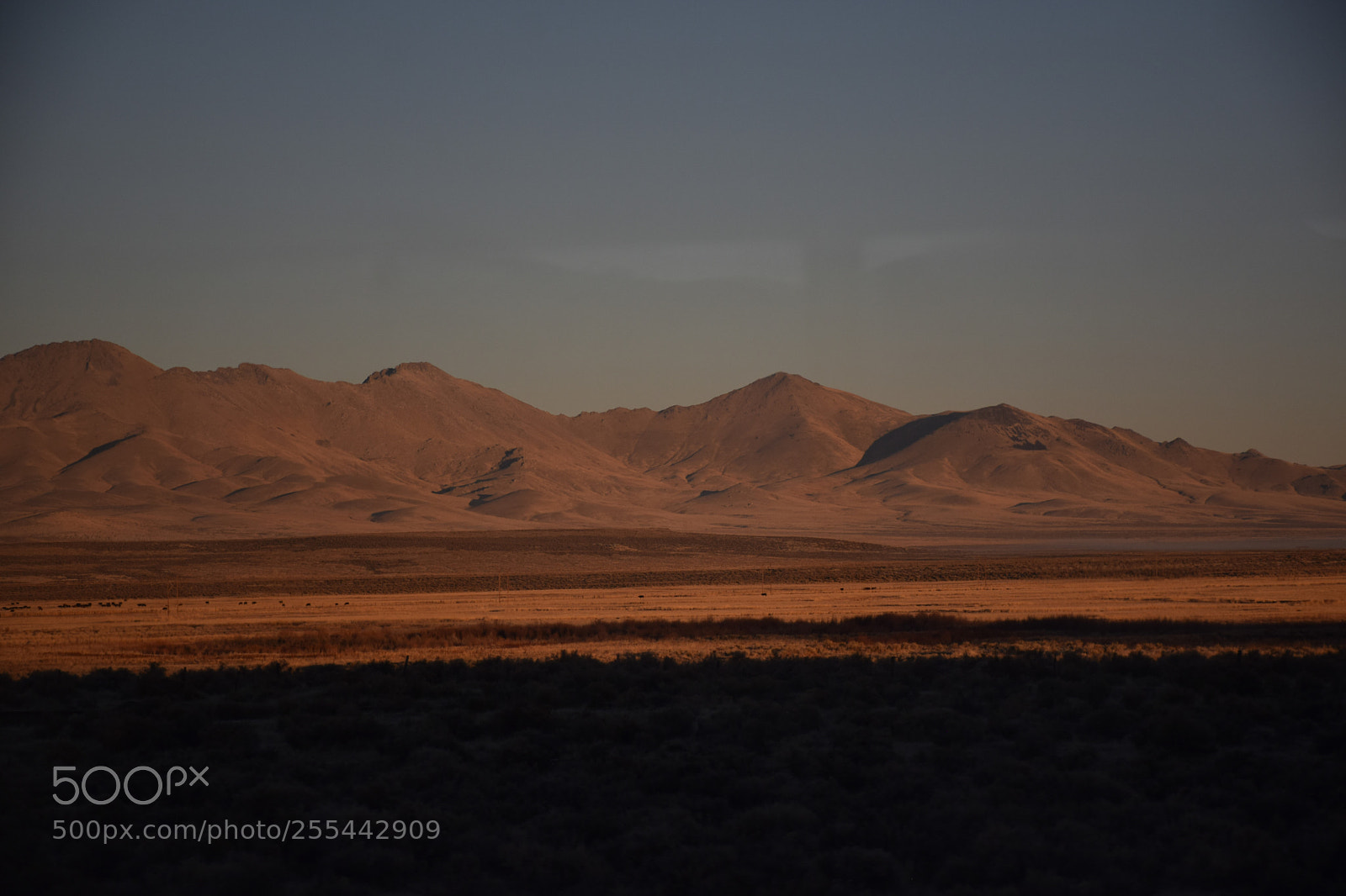 Nikon D5300 sample photo. Views from the california photography