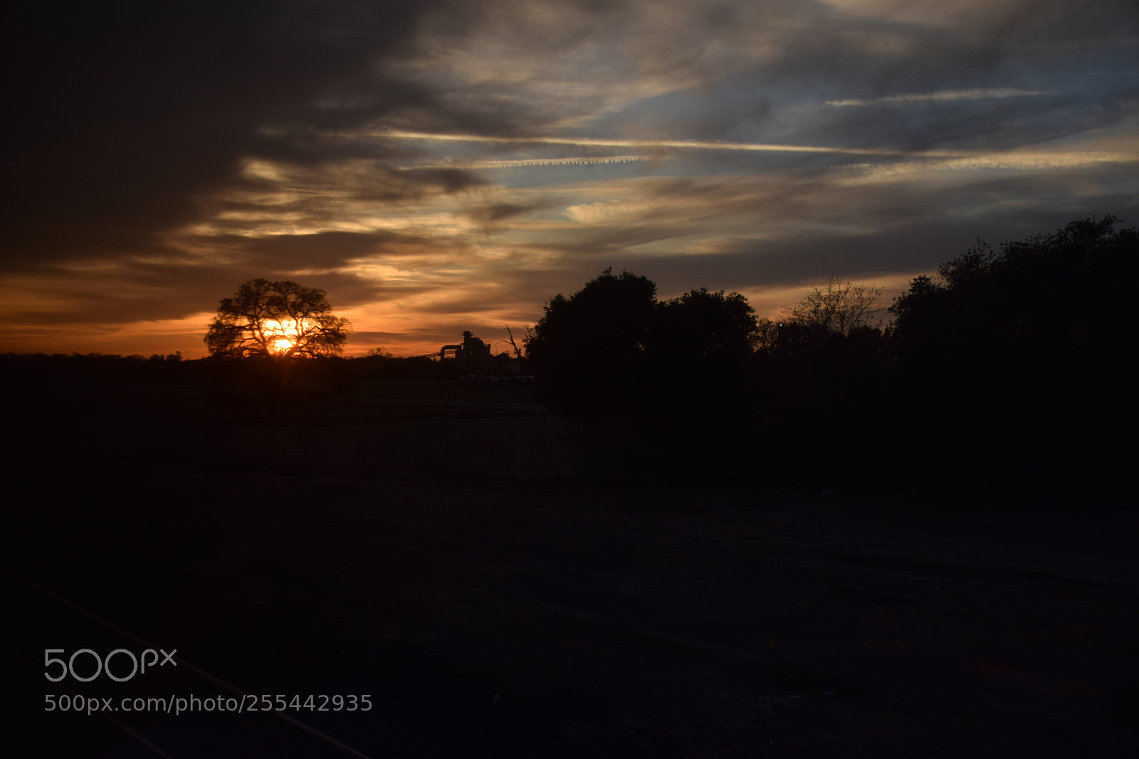 Nikon D5300 sample photo. Sunsets over san francisco photography