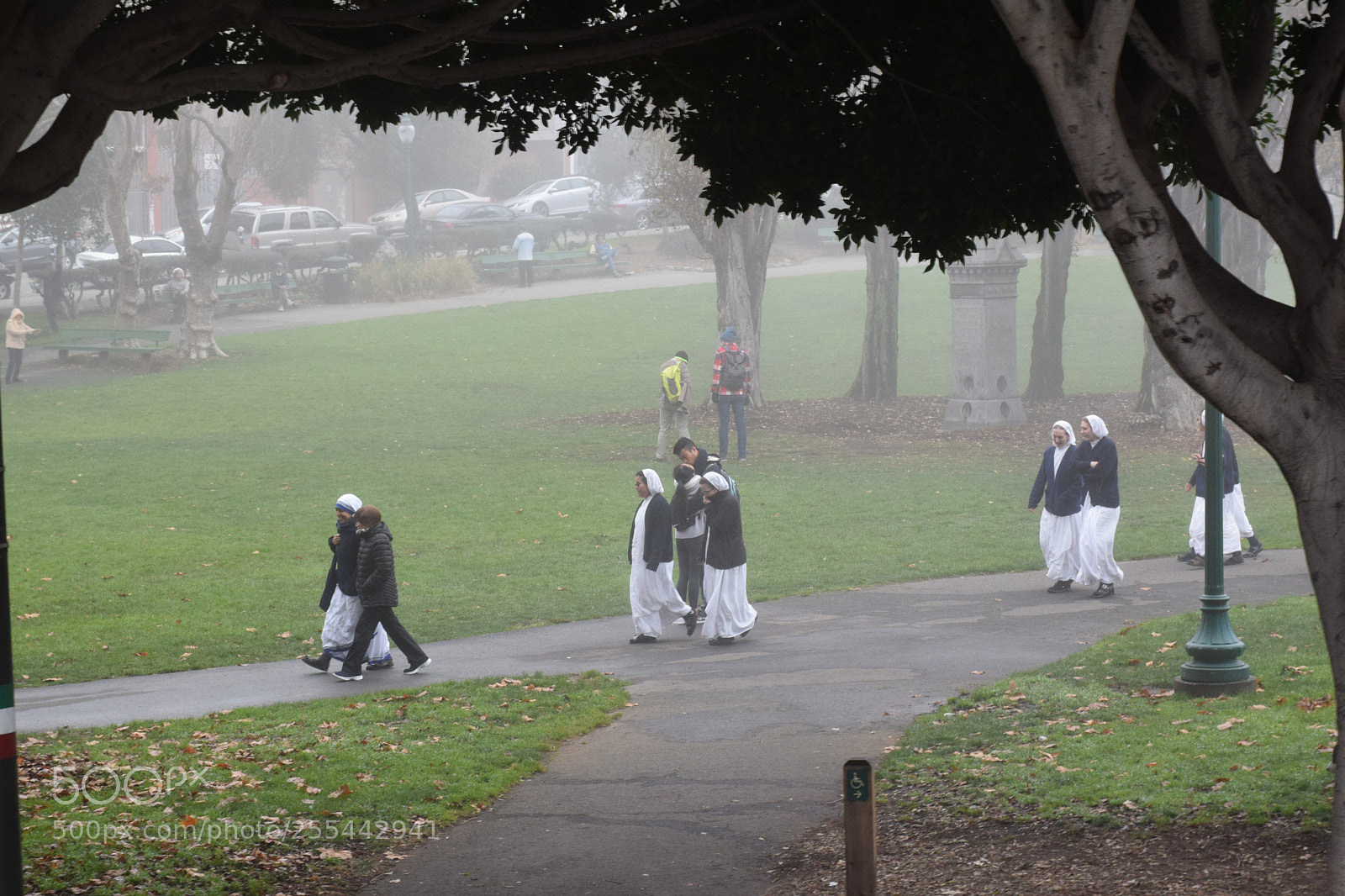 Nikon D5300 sample photo. Streets of san francisco photography