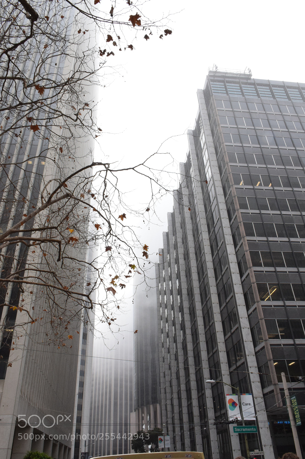 Nikon D5300 sample photo. Streets of san francisco photography