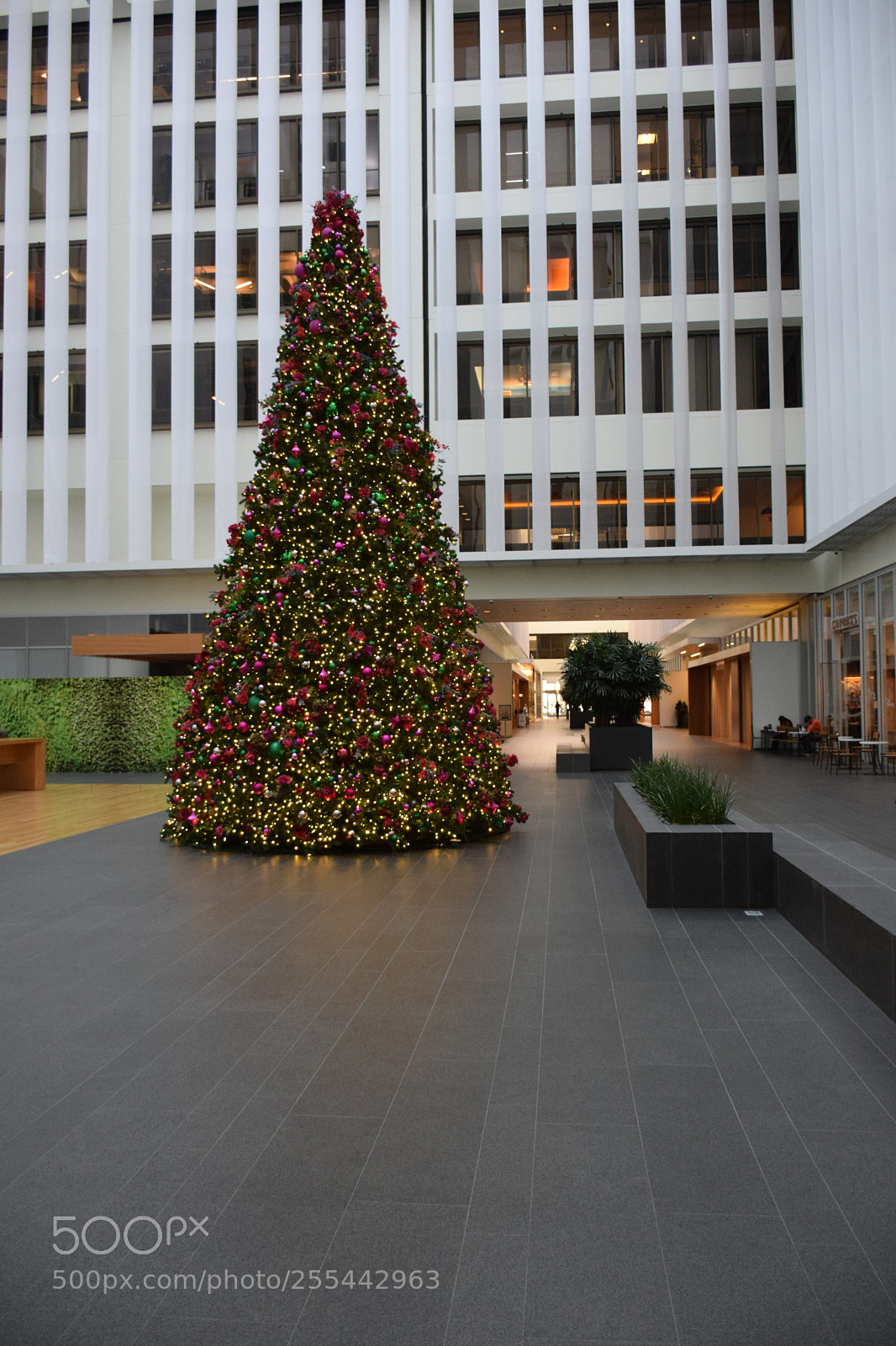 Nikon D5300 sample photo. Streets of san francisco photography