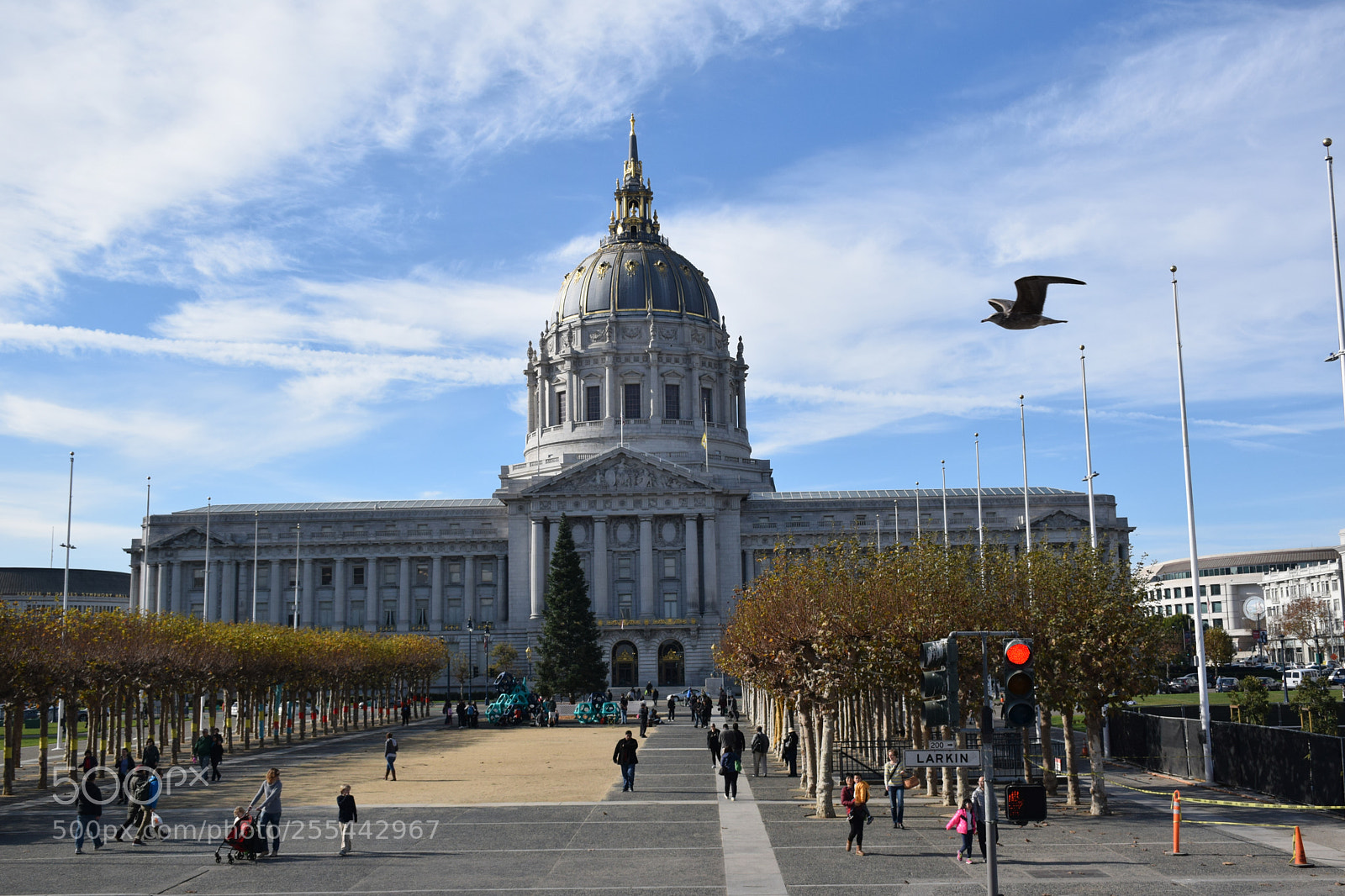 Nikon D5300 sample photo. Streets of san francisco photography