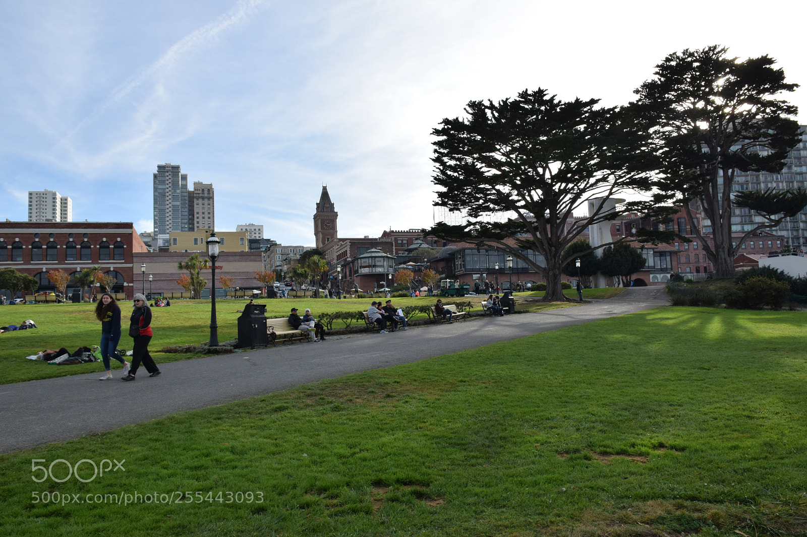 Nikon D5300 sample photo. Streets of san francisco photography