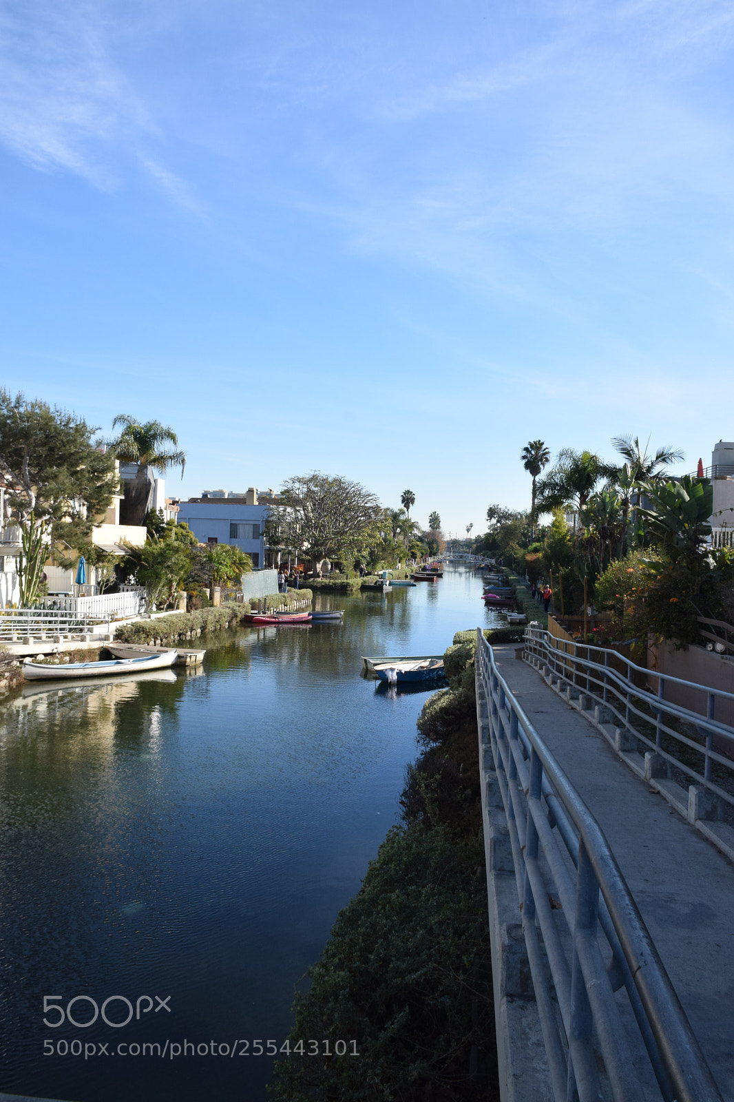 Nikon D5300 sample photo. Venice beach la photography