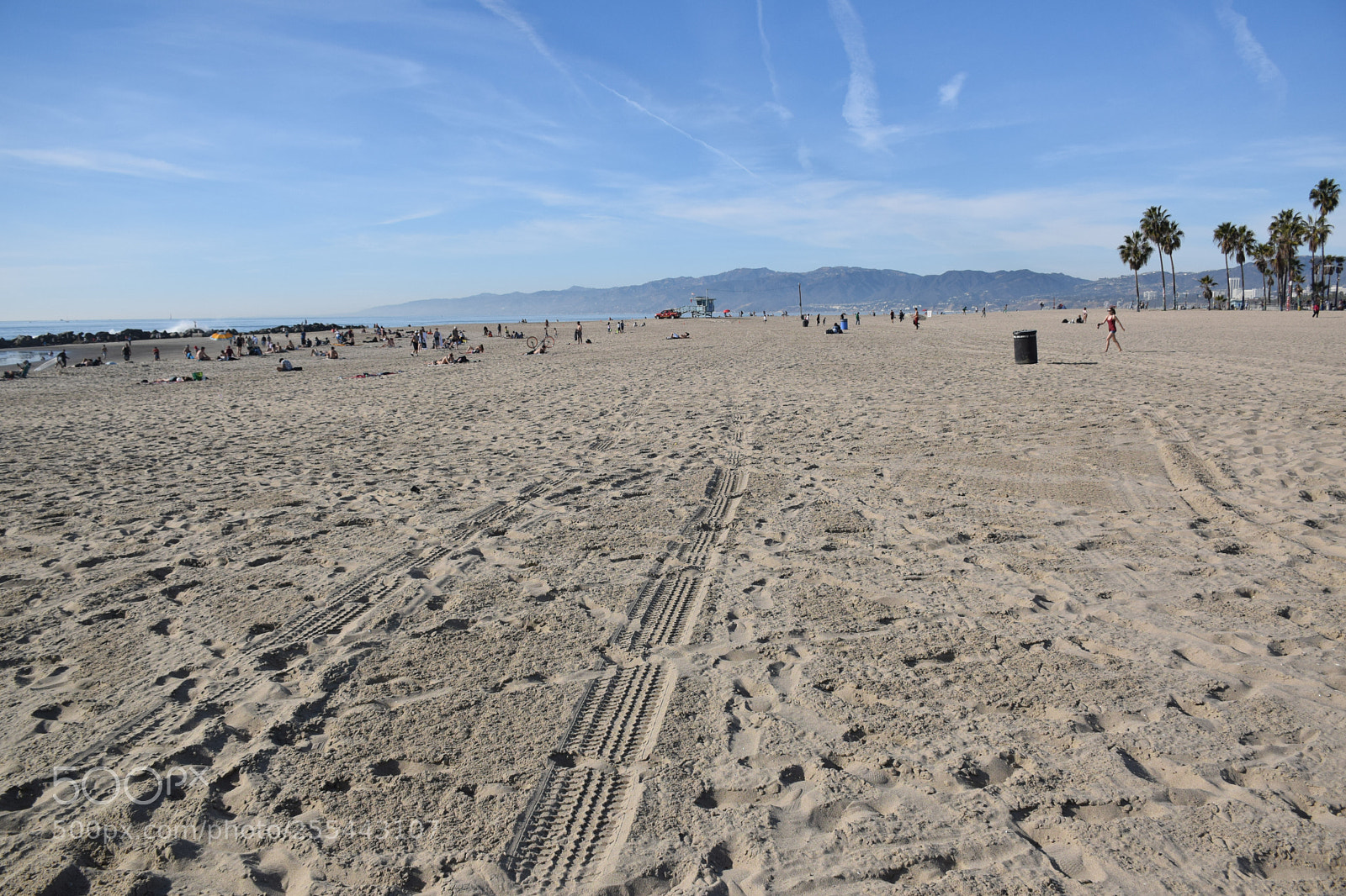 Nikon D5300 sample photo. Venice beach la photography