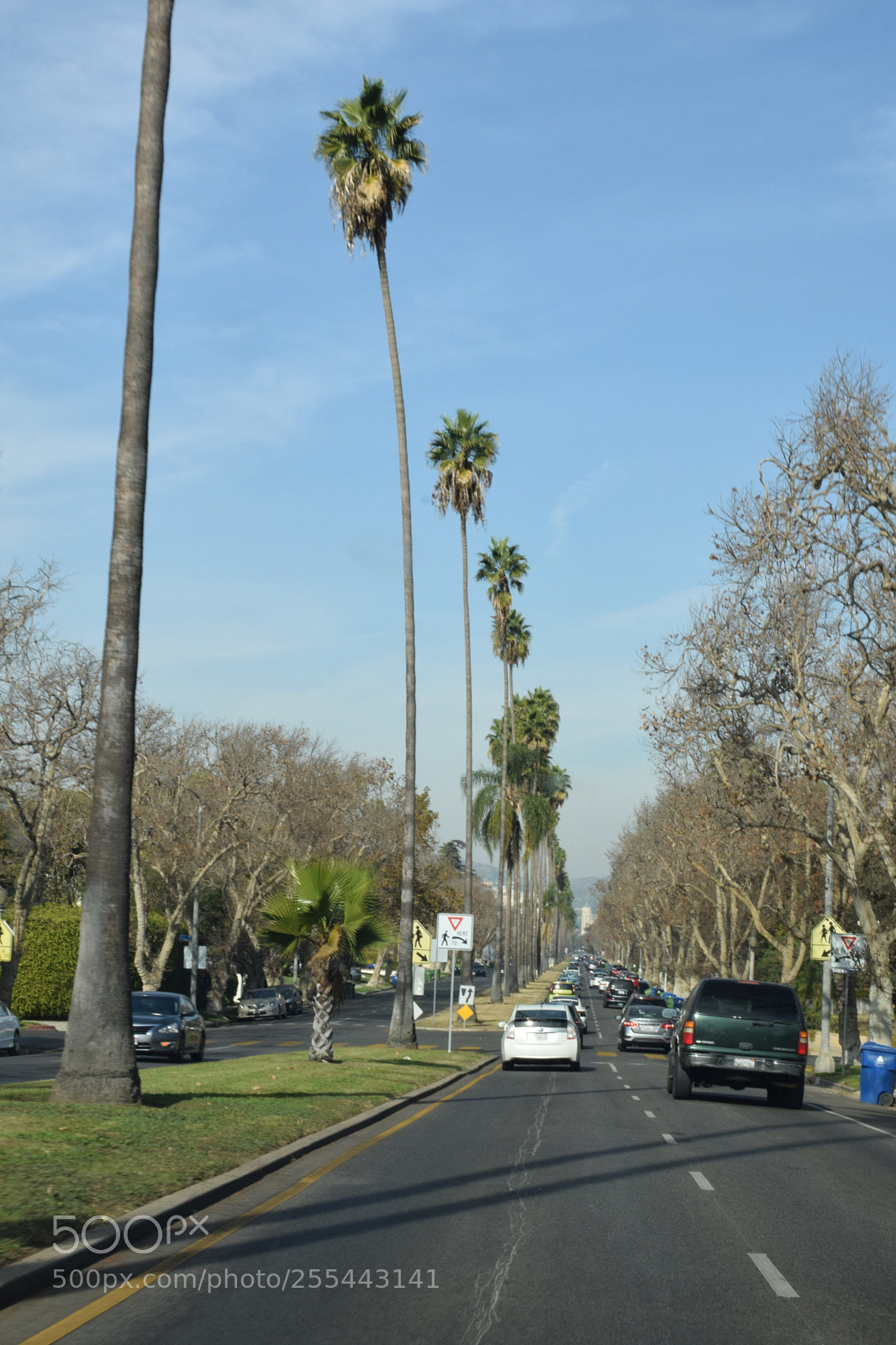 Nikon D5300 sample photo. Photo photography