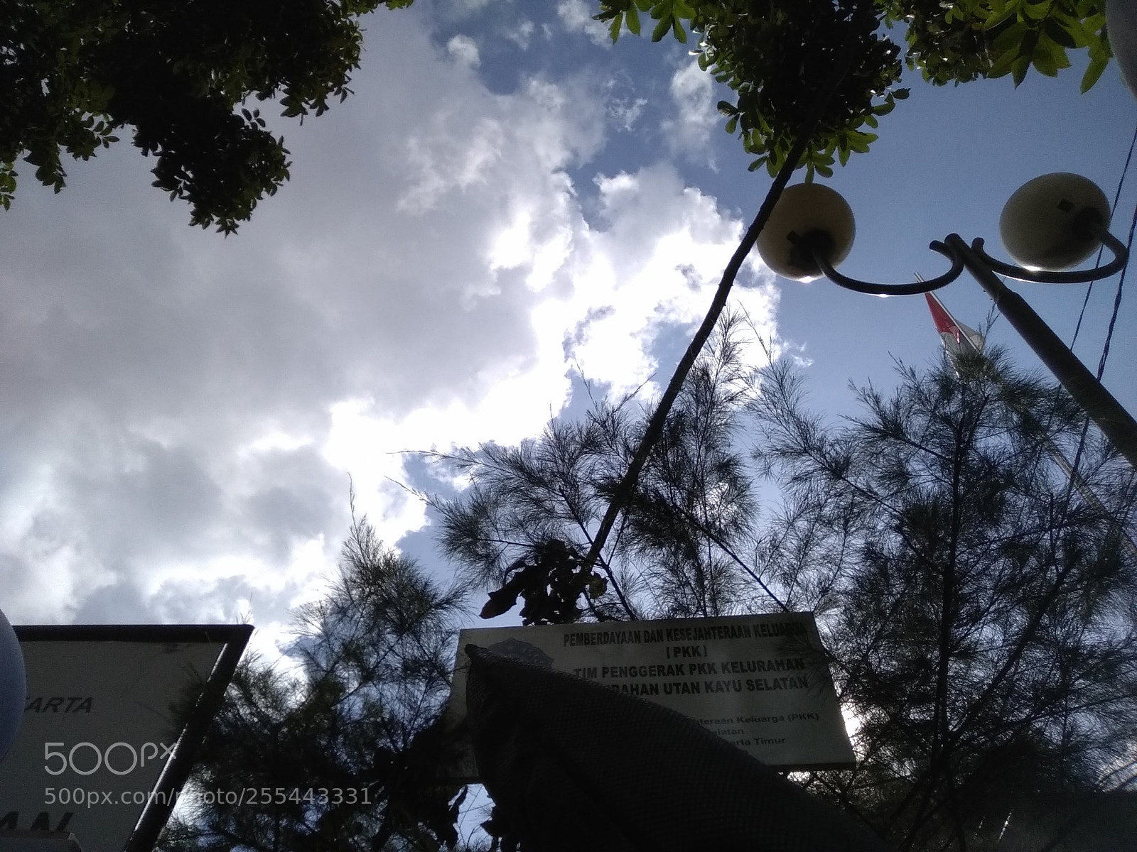 Xiaomi Redmi 4X sample photo. Untitled photography