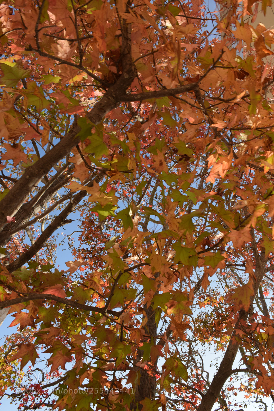 Nikon D5300 sample photo. Photo photography