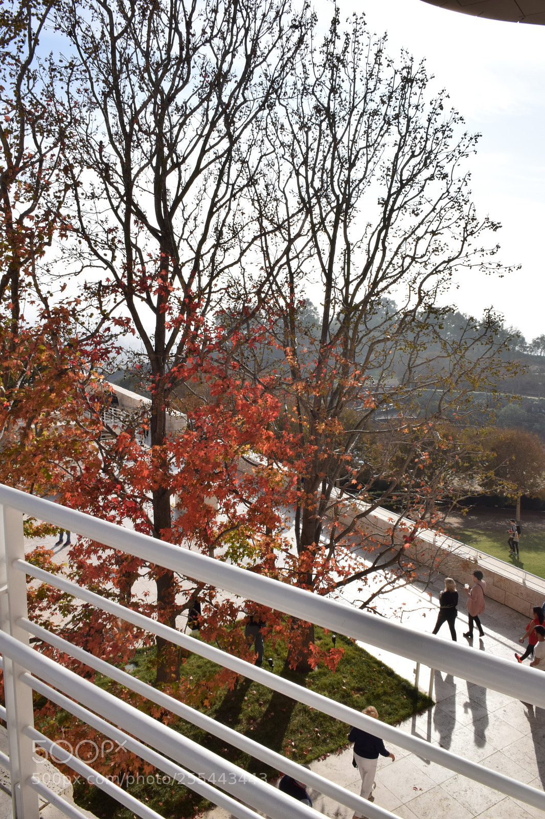 Nikon D5300 sample photo. Photo photography