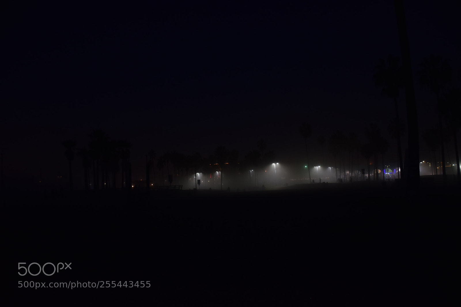 Nikon D5300 sample photo. Venice beach la photography