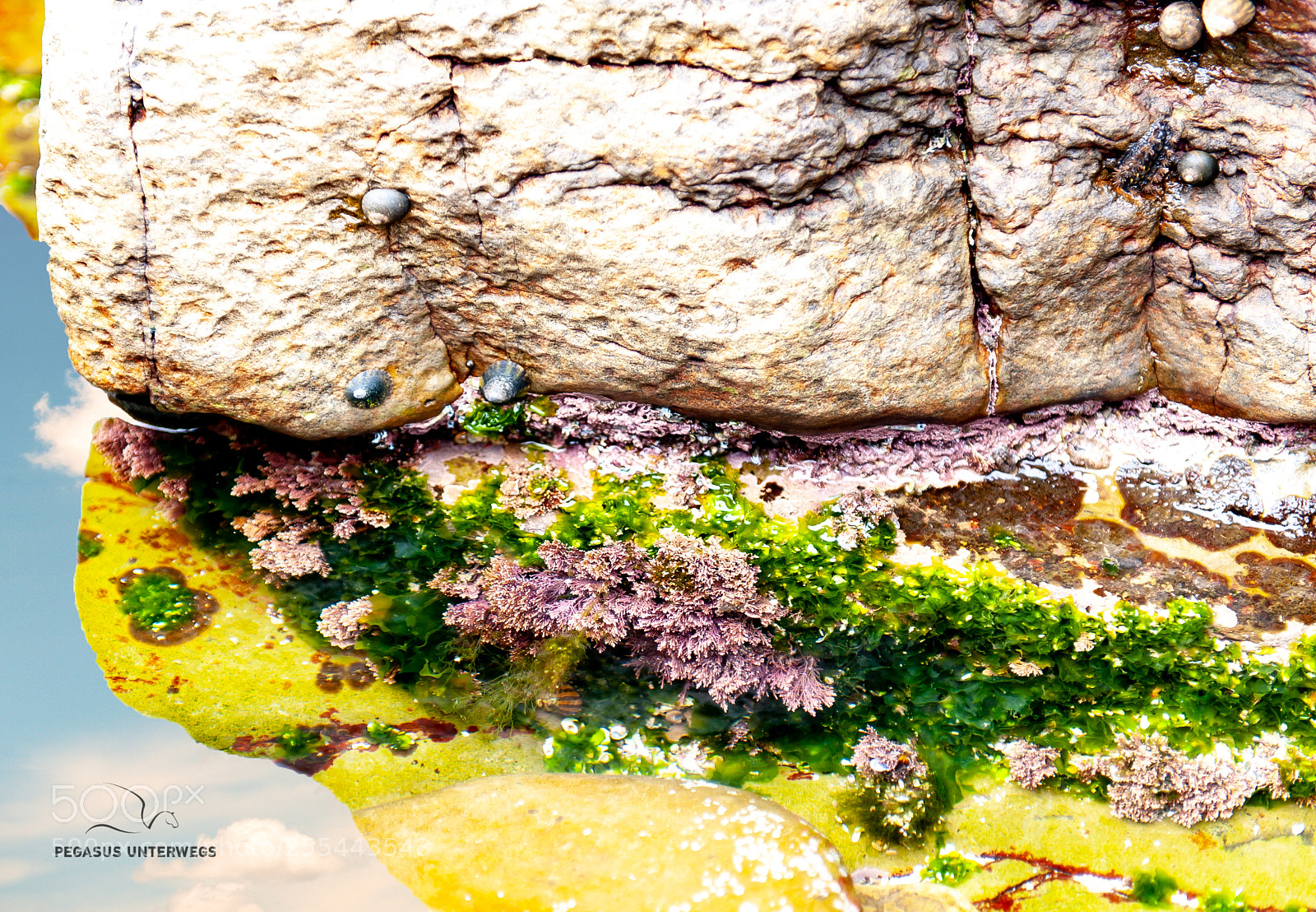 Nikon D700 sample photo. Colourfulness and reflexions at photography