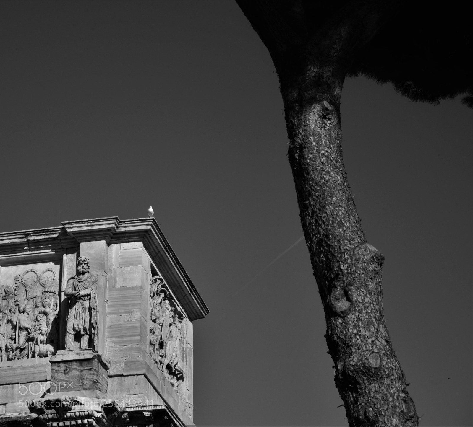 Nikon D3300 sample photo. Untitled photography